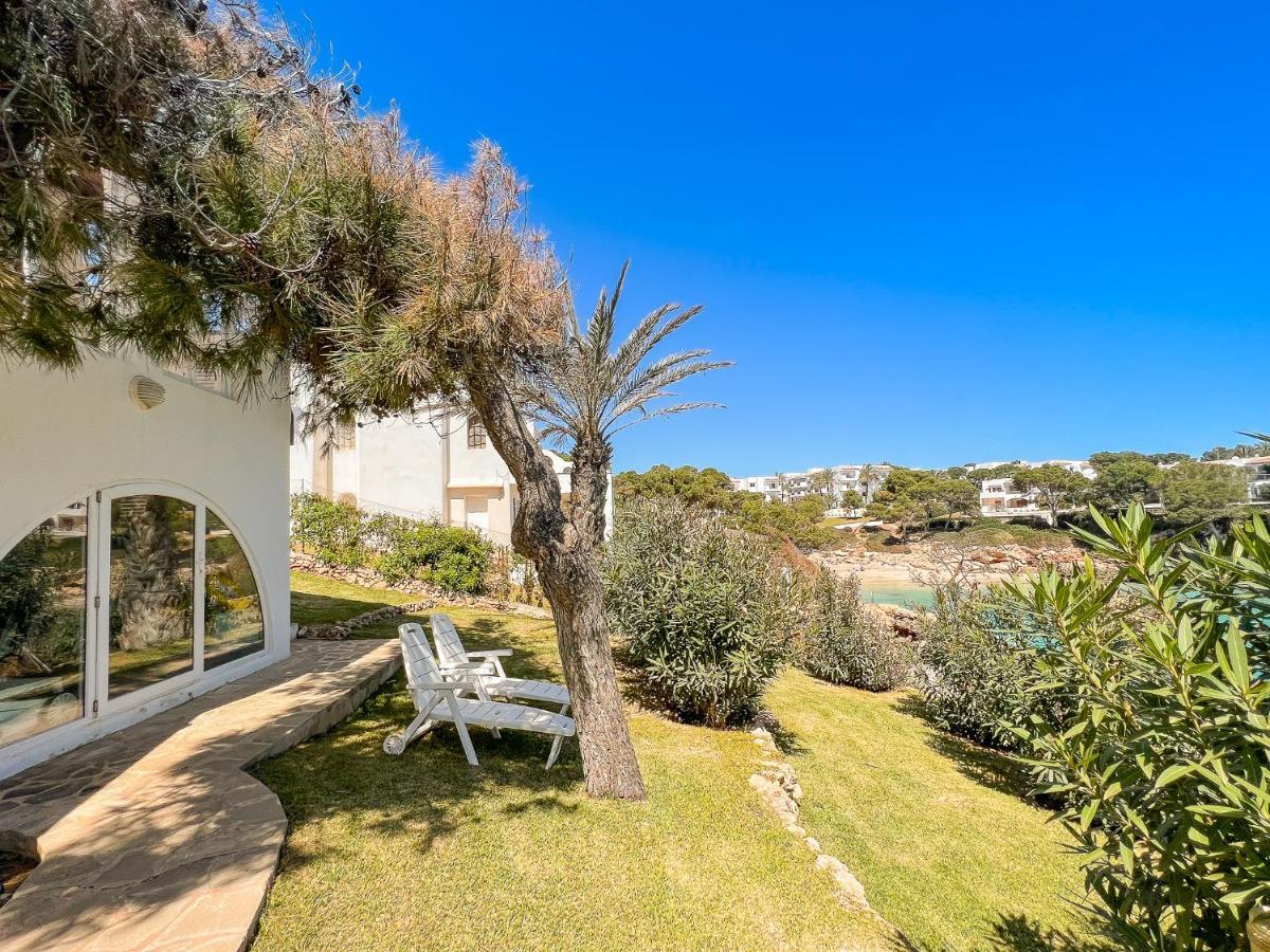 Guacarachas Cala d'Or (Mallorca)