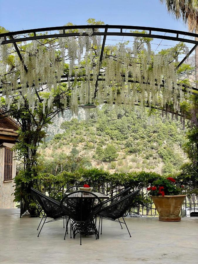 Gari Soller