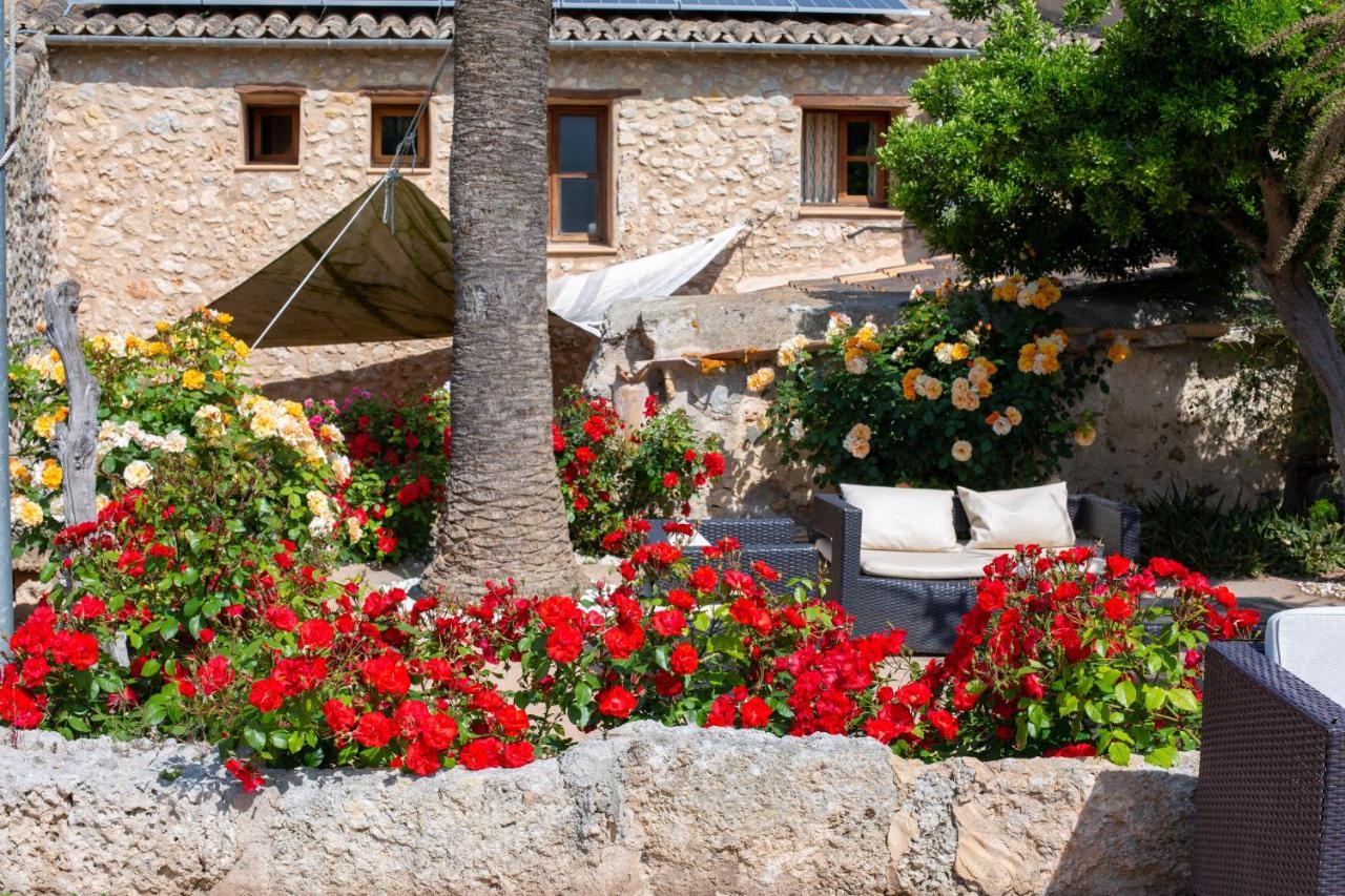 Sa Barcella Ti 64 4* Sineu (Mallorca)