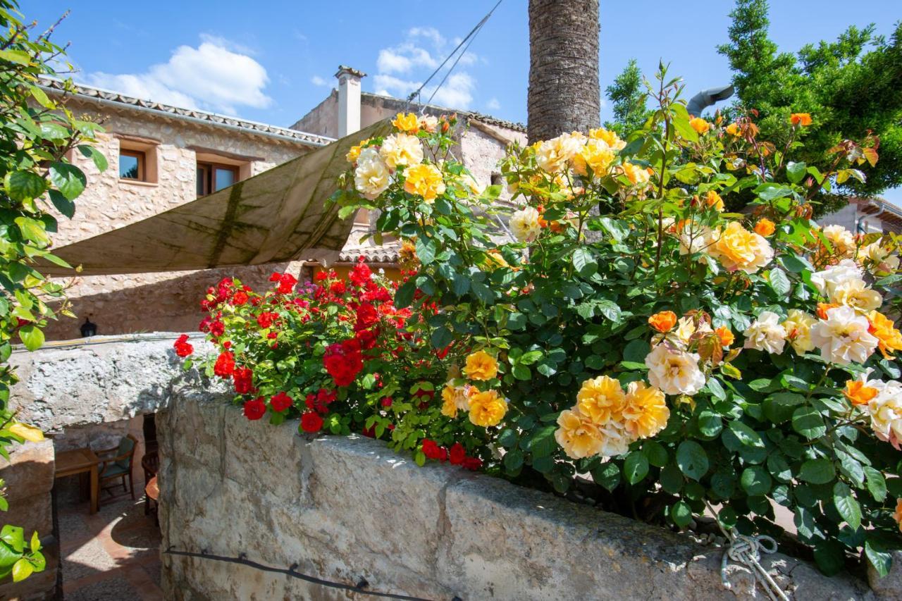 Sa Barcella Ti 64 Sineu (Mallorca)