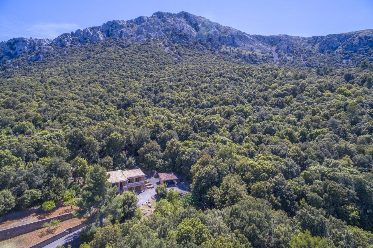 Sa Tramuntana Holiday home