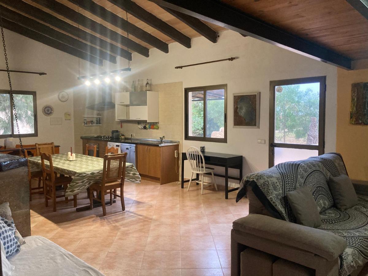 Casa David *