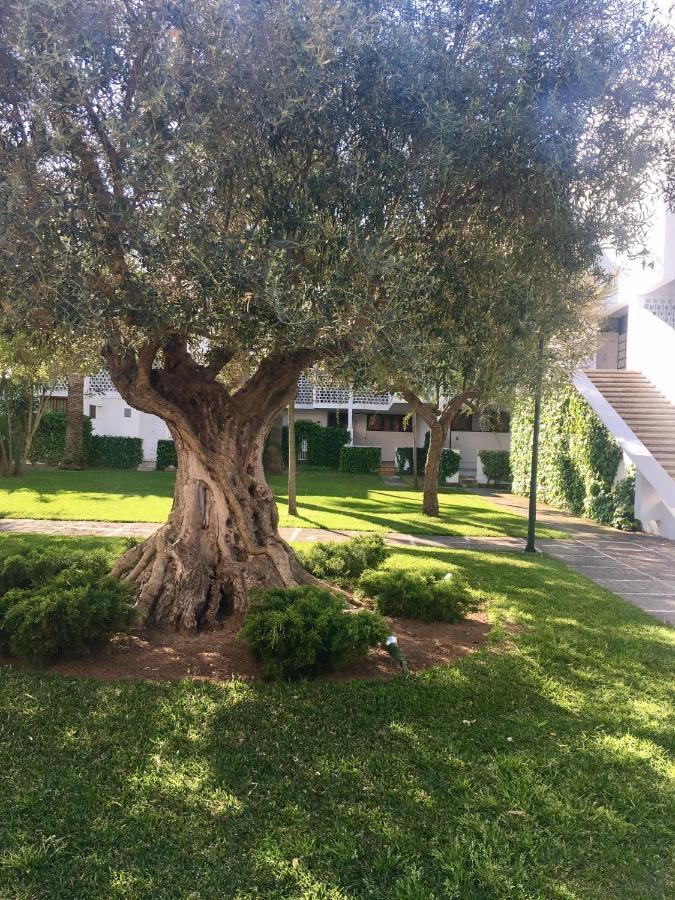 Apartamento Canopus Paradise