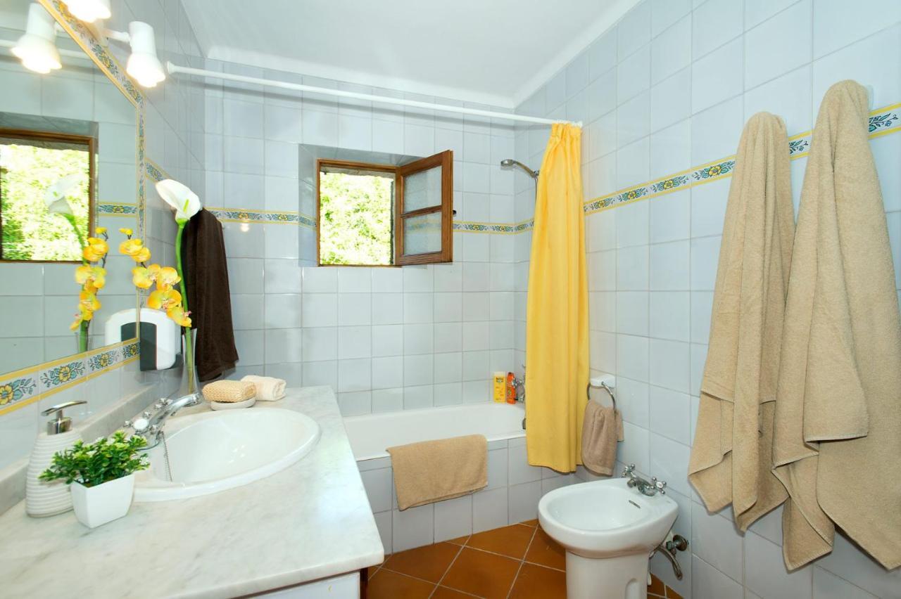 Torrentera Petit By Plus