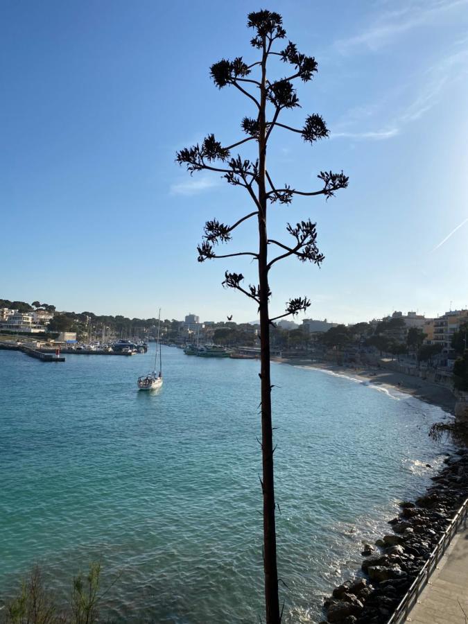 De Majorque Portocristo Porto Cristo