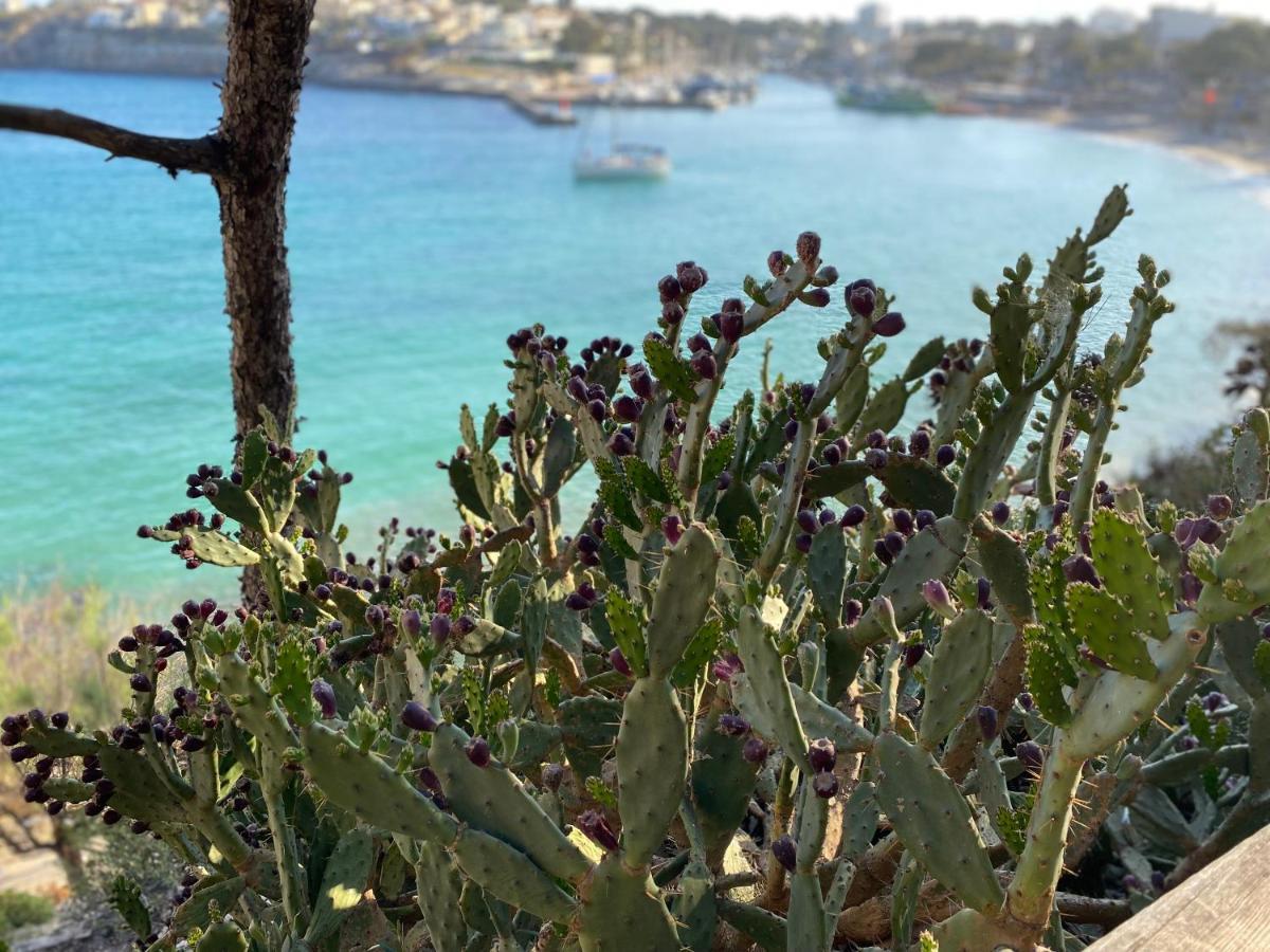 De Majorque Portocristo *