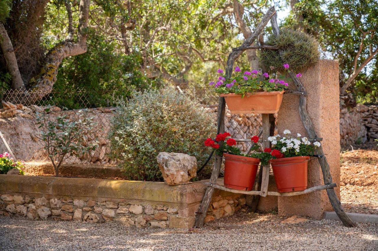 Villa Els Ullastres