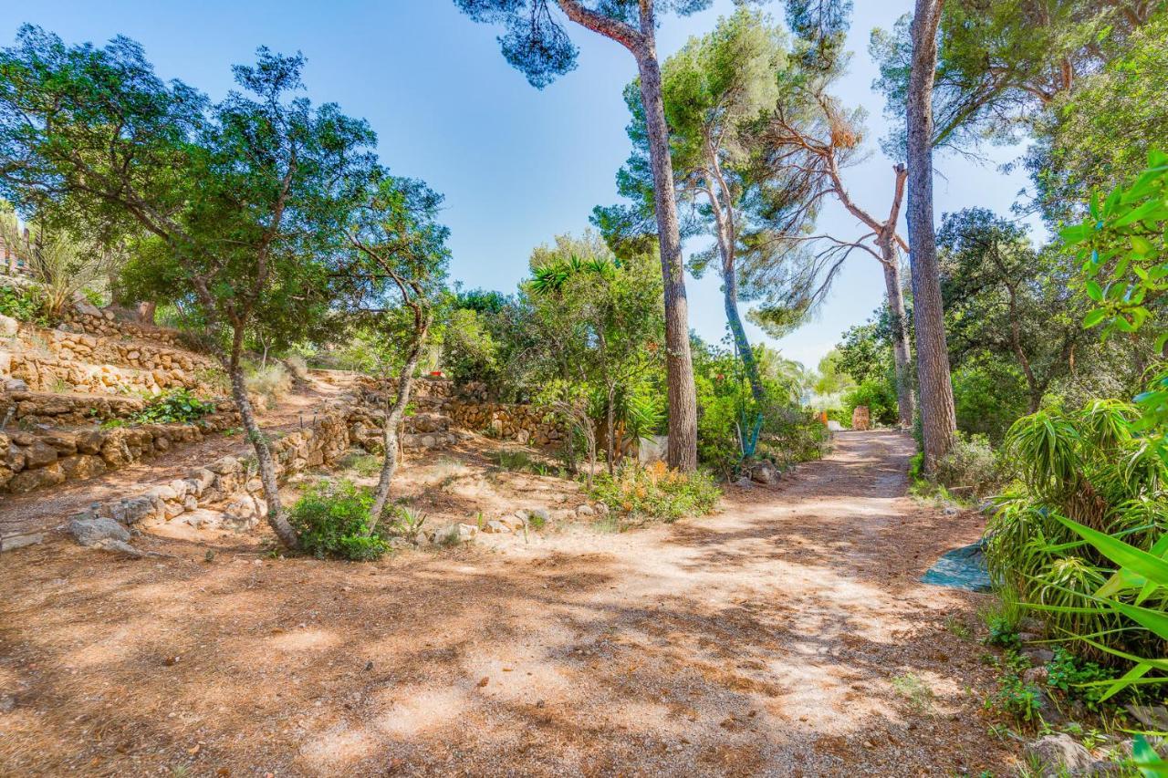 Ses Alzines - Costa De Pinos Apartamento Costa De Los Pinos