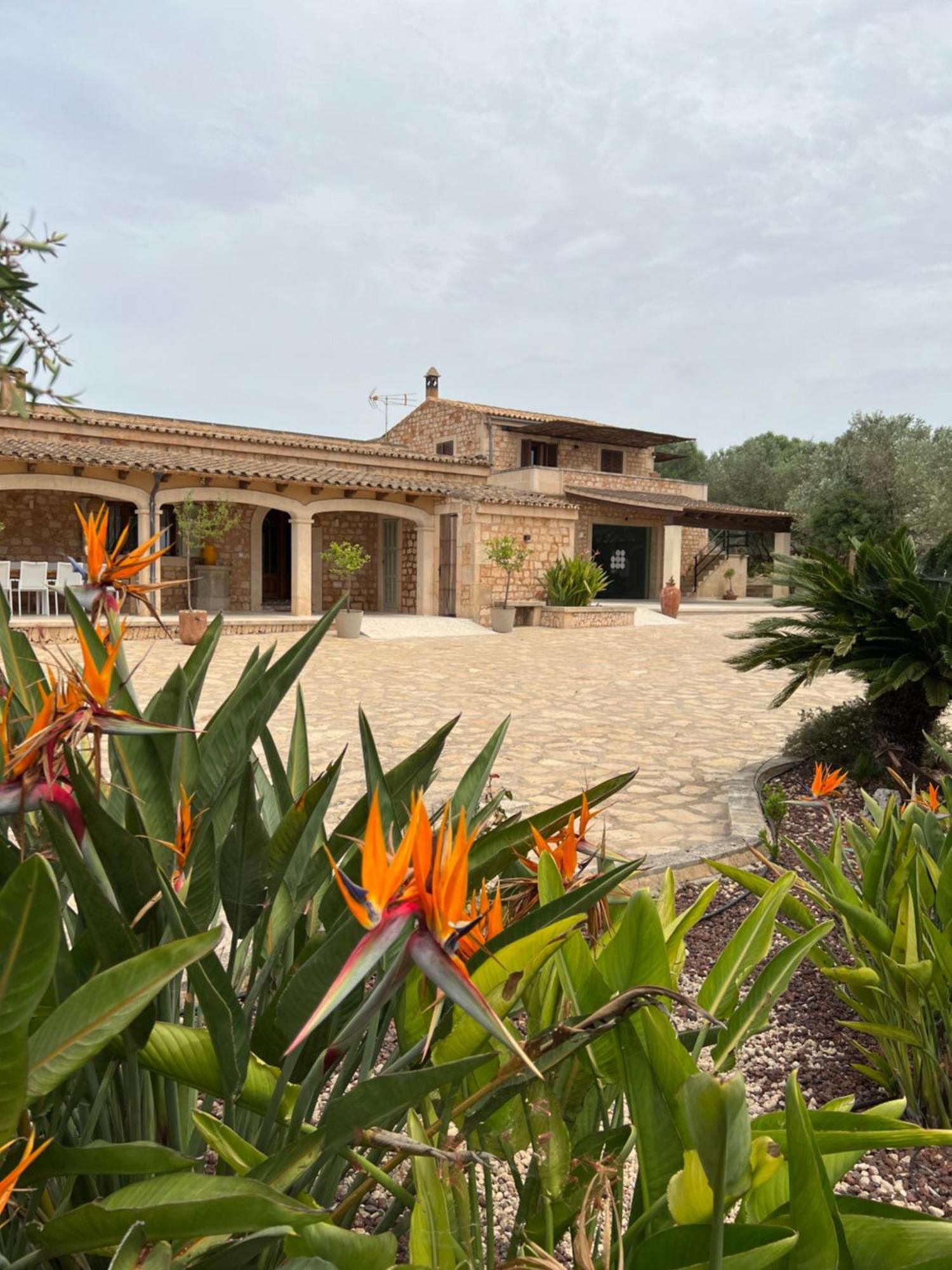 Finca Rural Art 9 Holiday home Ses Salines (Mallorca)