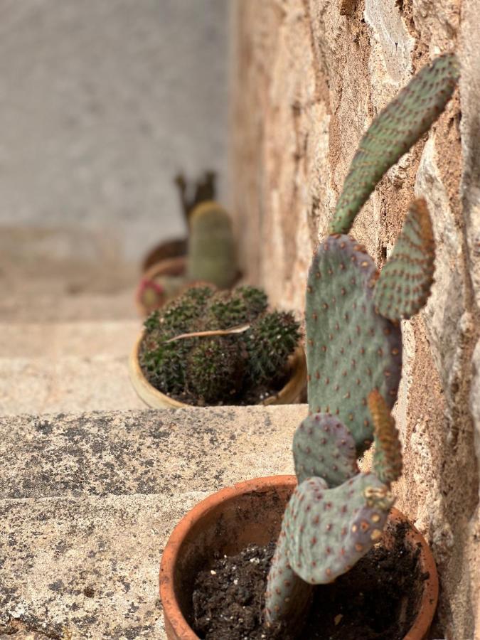 Finca Rural Art 9 Holiday home *
