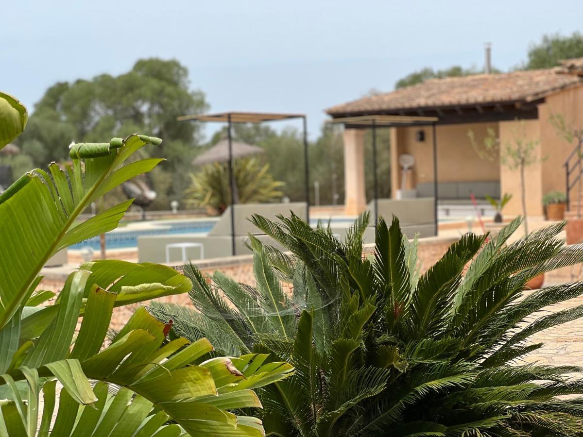 Finca Rural Art 9 Holiday home Ses Salines (Mallorca)