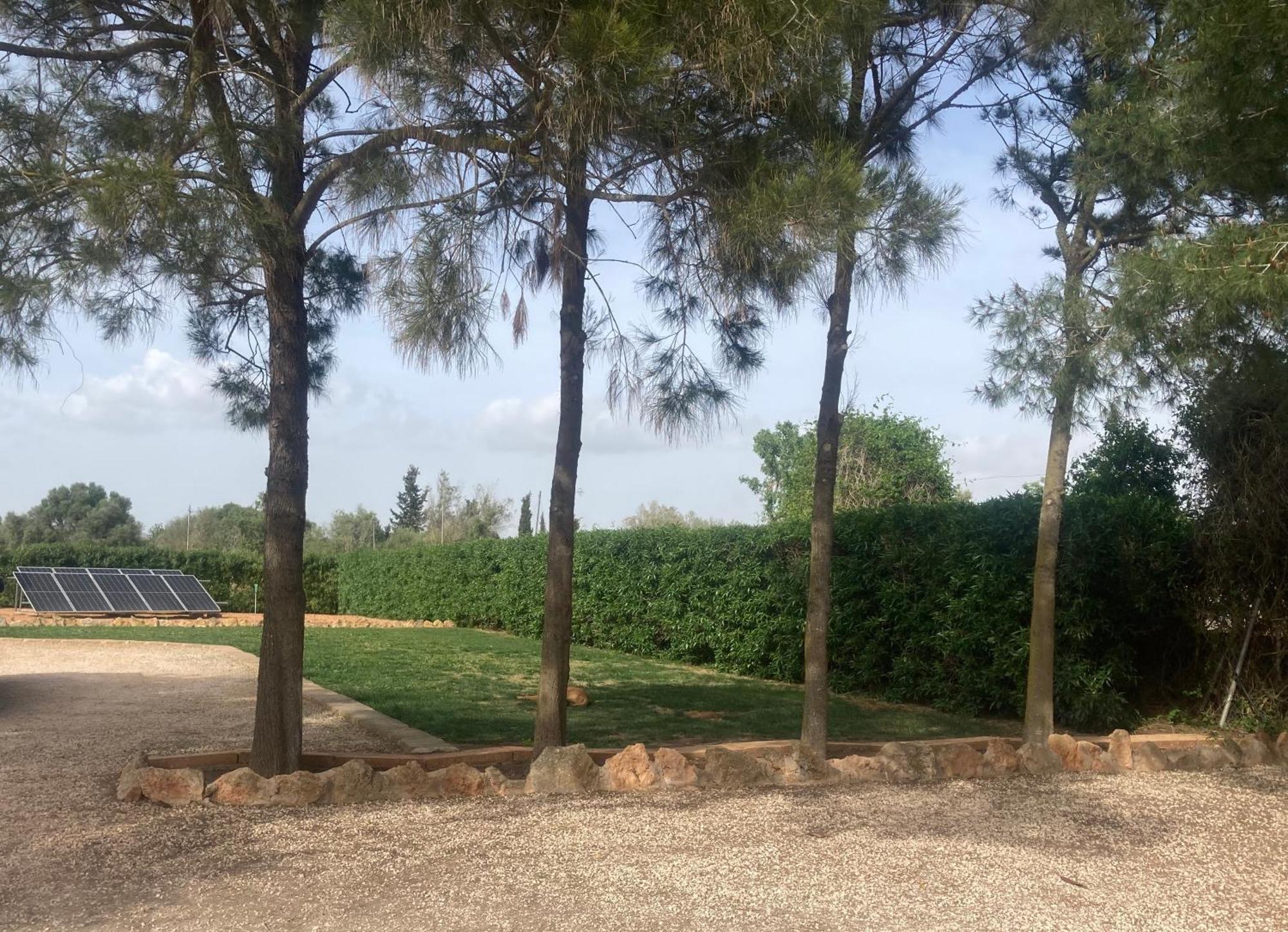 Сasa de vacaciones Casa David Campos (Mallorca)