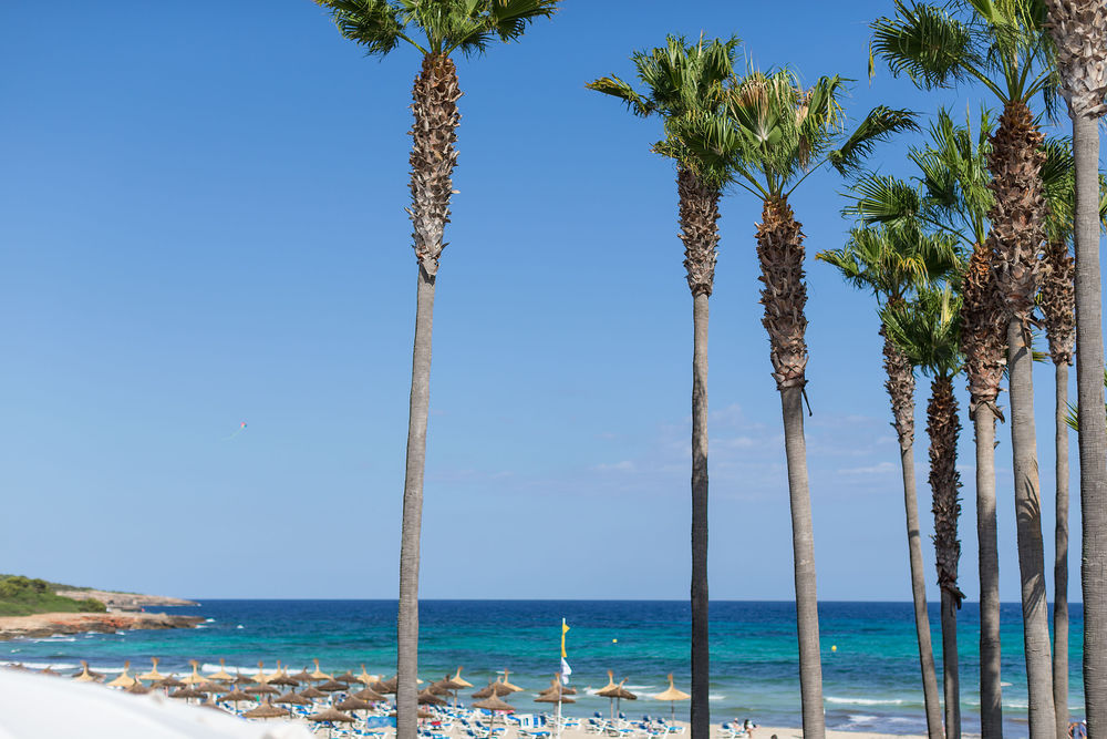 Thb Sa Coma Platja Hotel 4*
