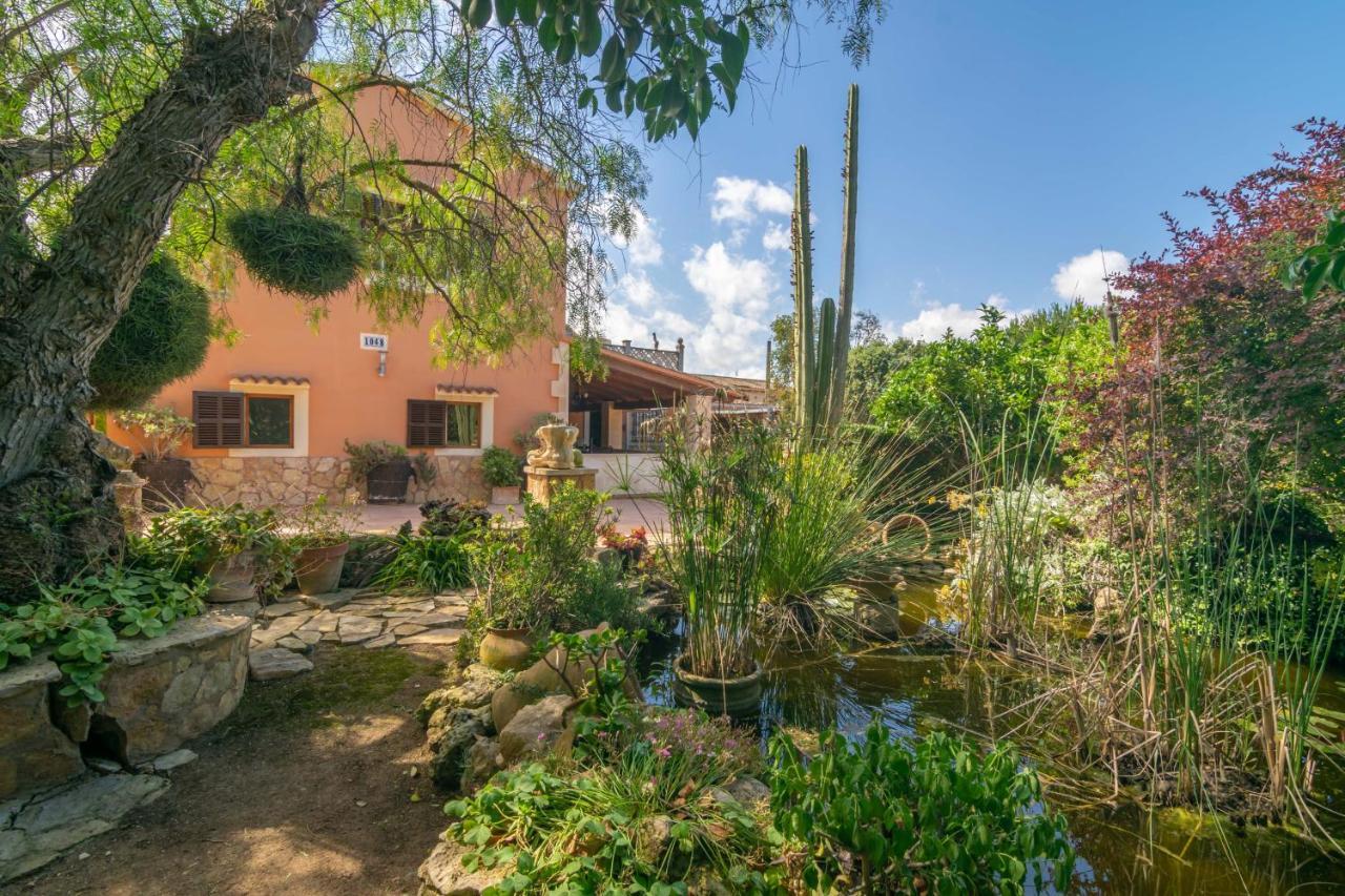 Pili Villa