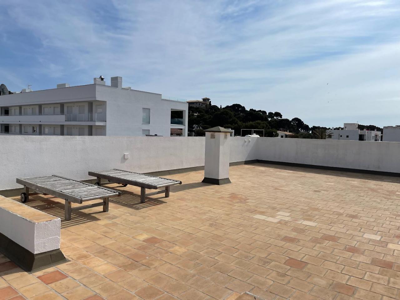 Gallu Cala Ratjada (Mallorca)