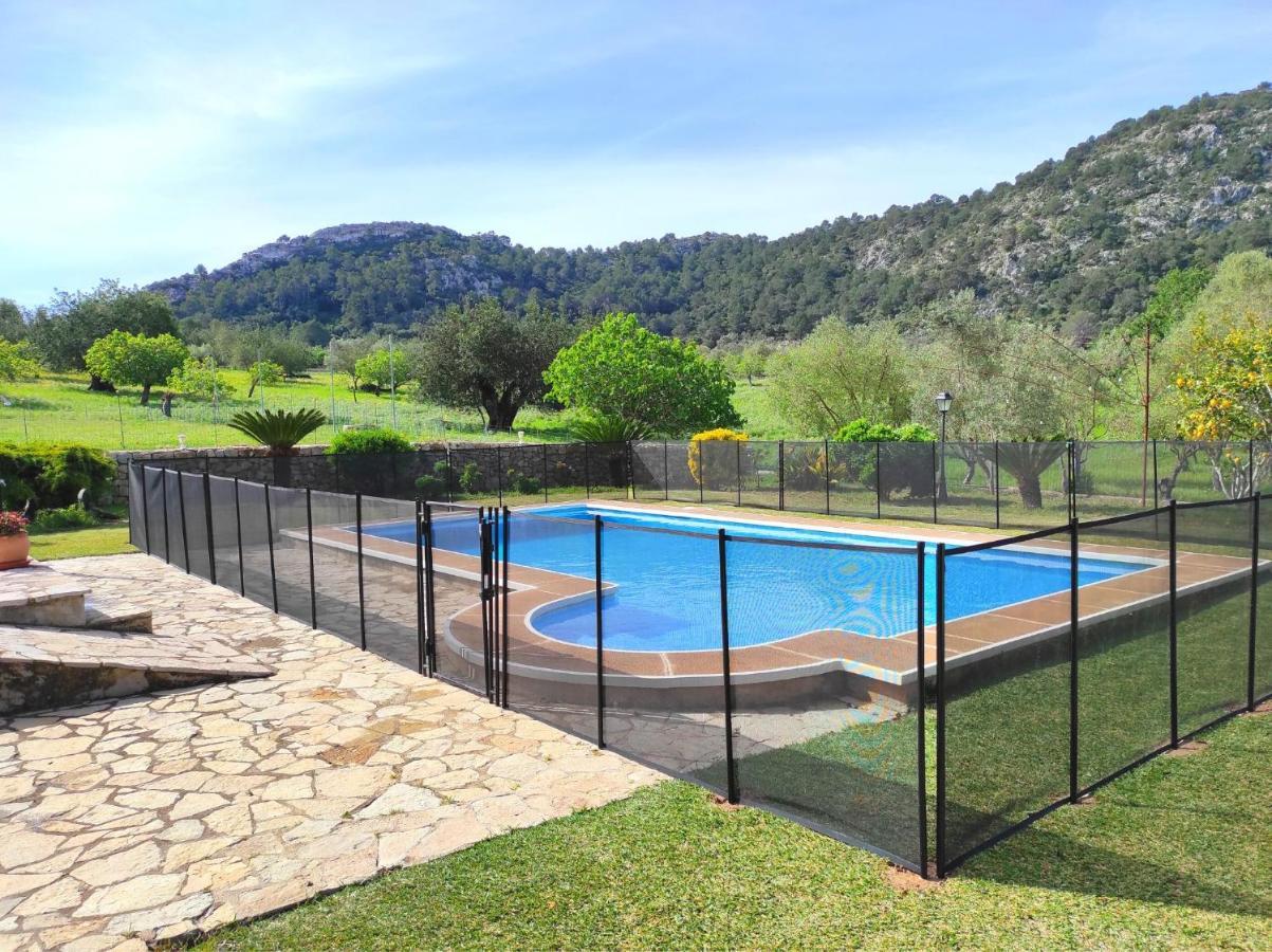 El Olivo Villa