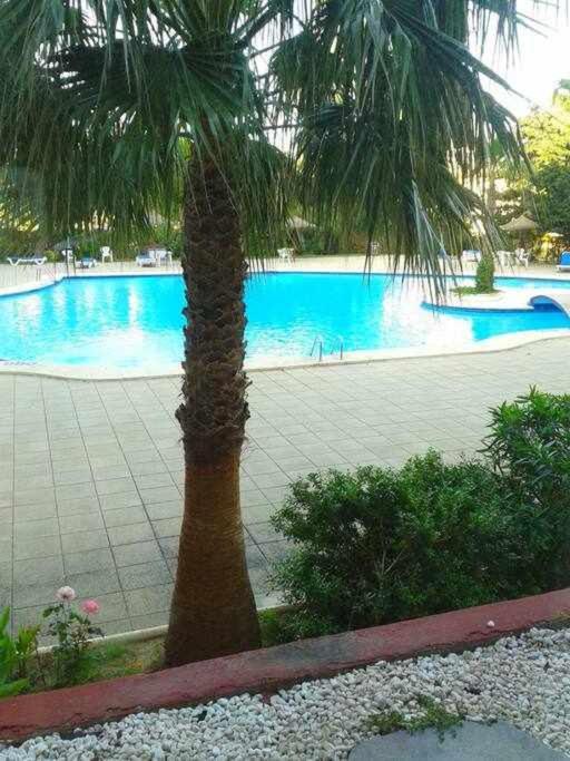 Piso Moderno Con Piscina Siesta 2 *