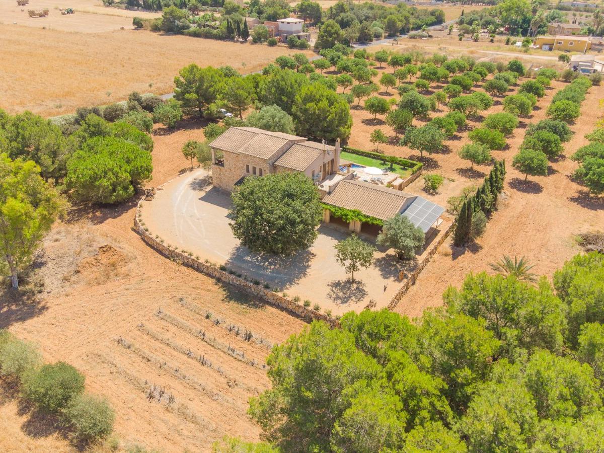 Luxury Ses Quaranta * Campos (Mallorca)