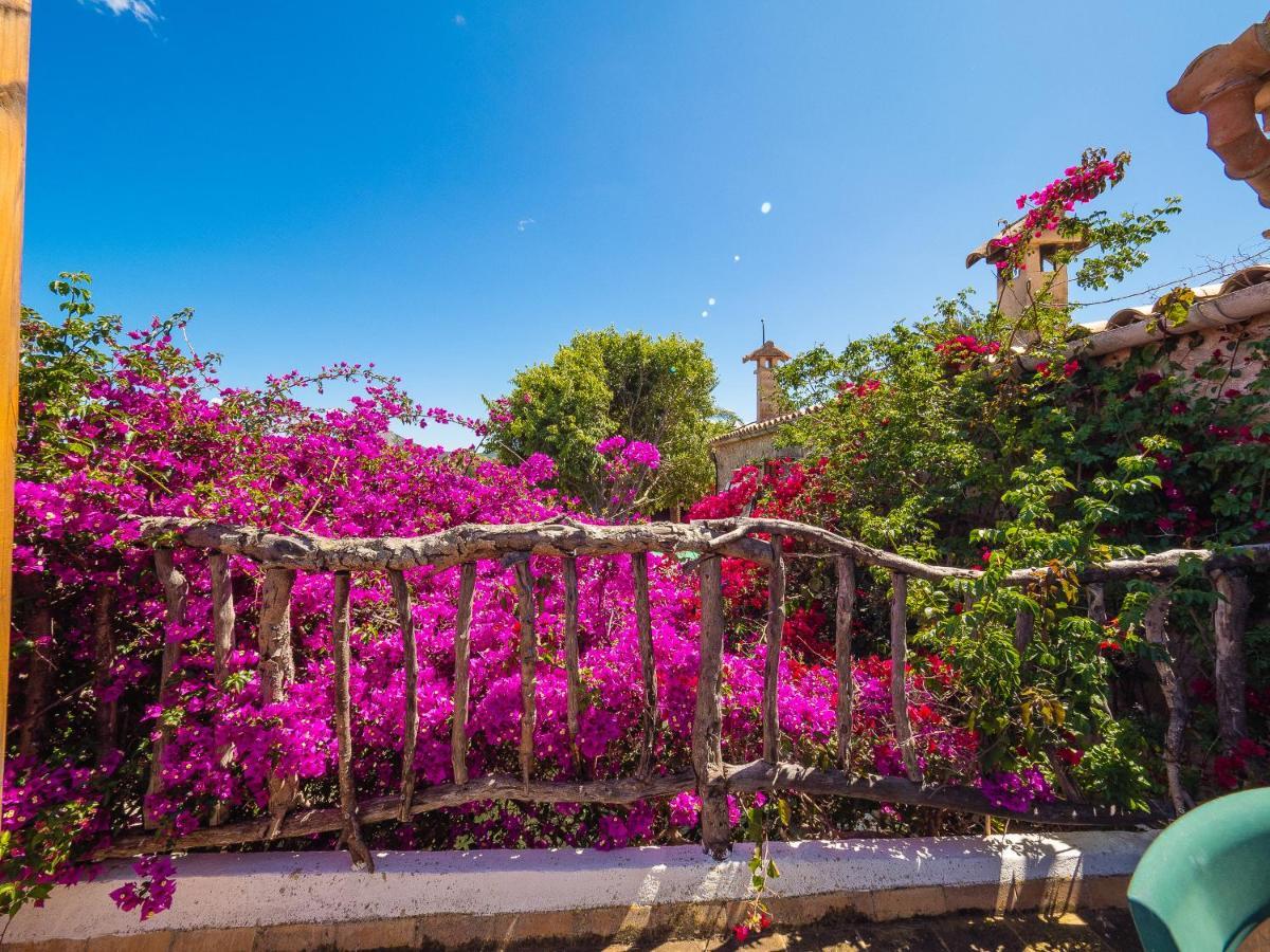 Can Cap De Bou By Alquilair Farm stay Pollenca