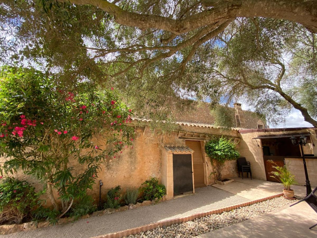 Farm stay Sa Canova Campos (Mallorca)