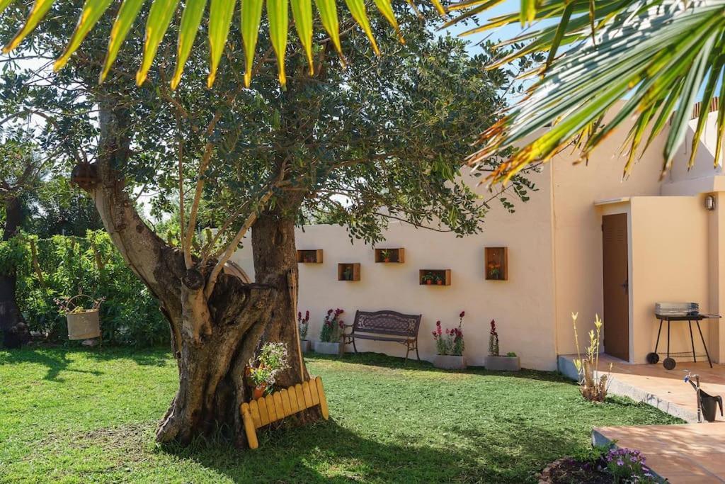 “can Bandera Sunrise” Villa Pollensa