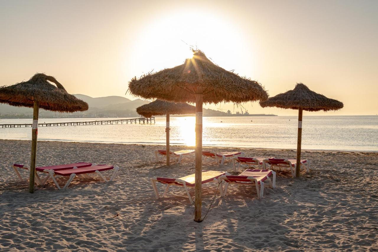 Playa Alcúdia