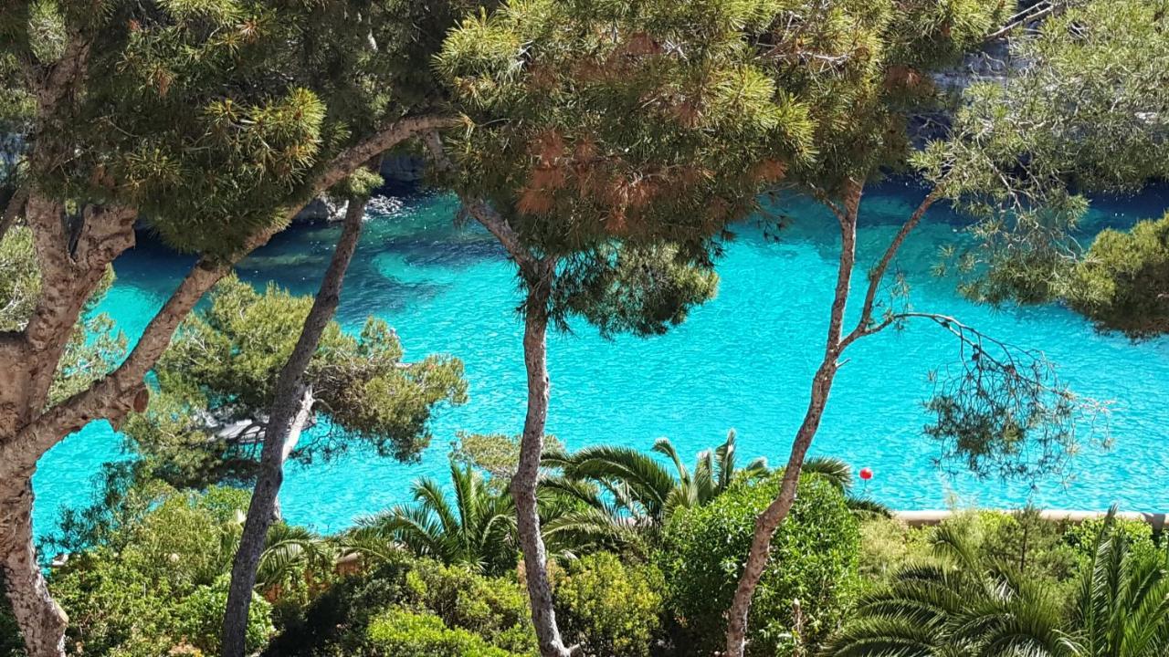 Pinos Playa Santanyi