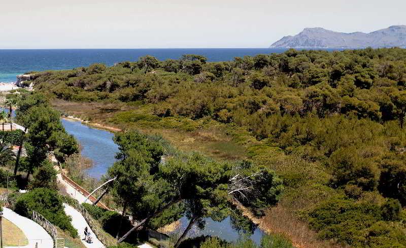 Hotel Exagon Park Can Picafort (Mallorca)