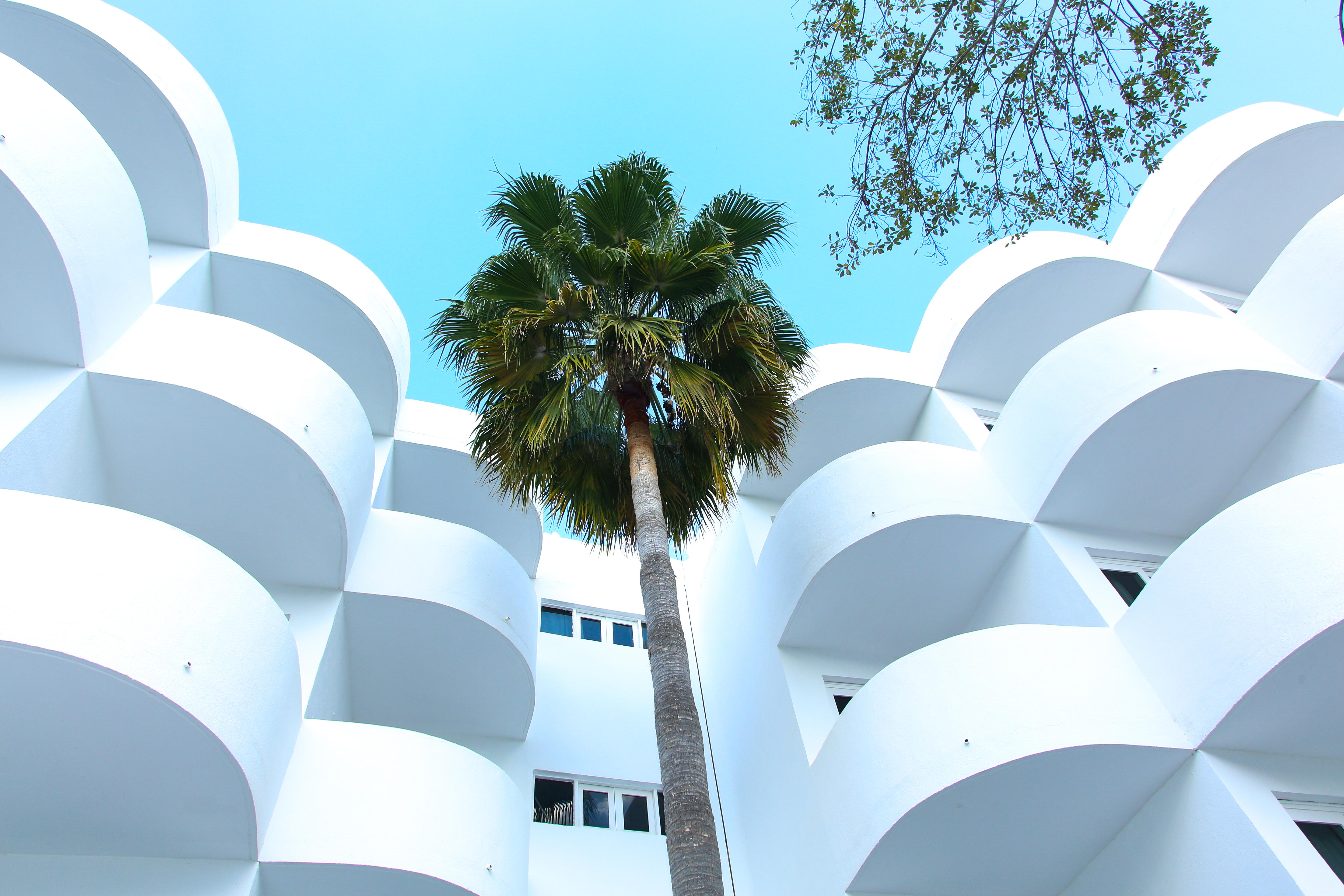 Sentido Fido Tucan - Adults Only Cala D´Or