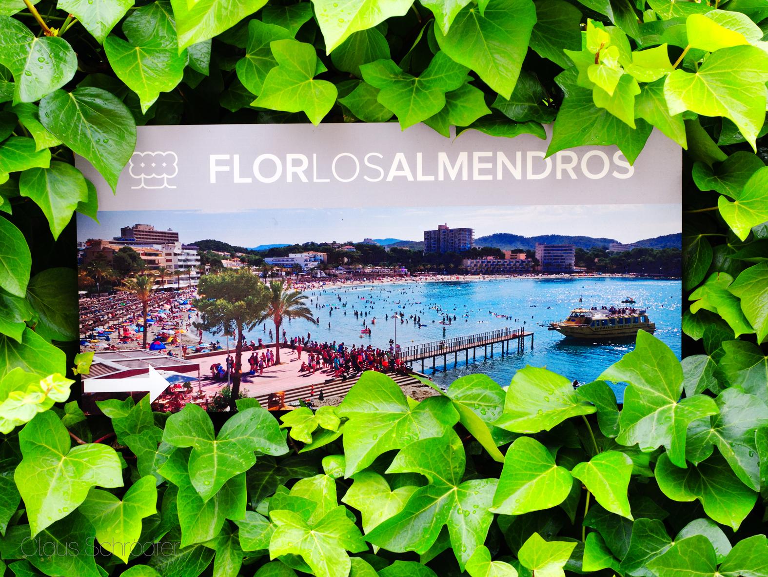 Flor Almendros 3*