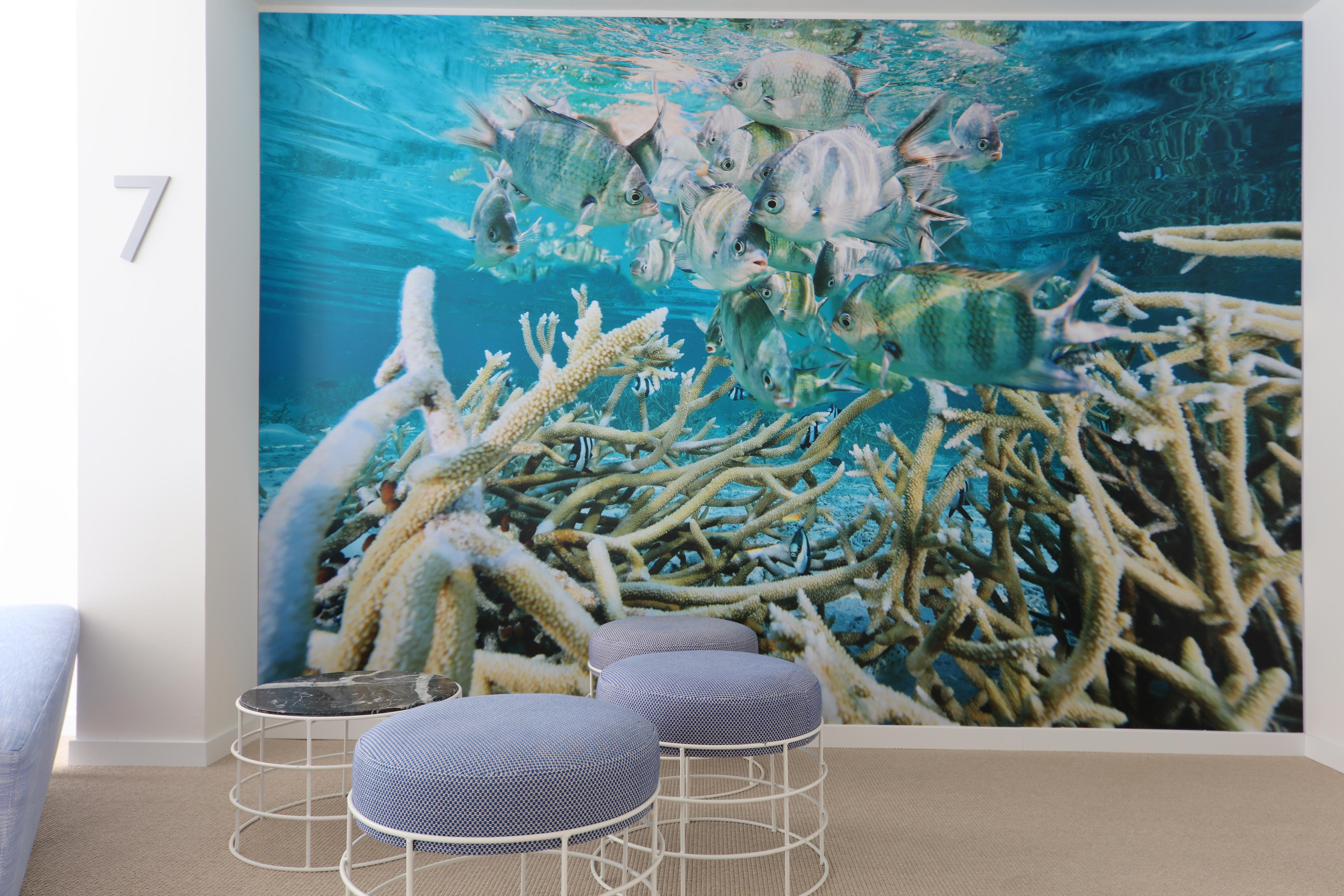 Hotel Iberostar Waves Bahia De Palma - Adults Only Playa de Palma (Mallorca)
