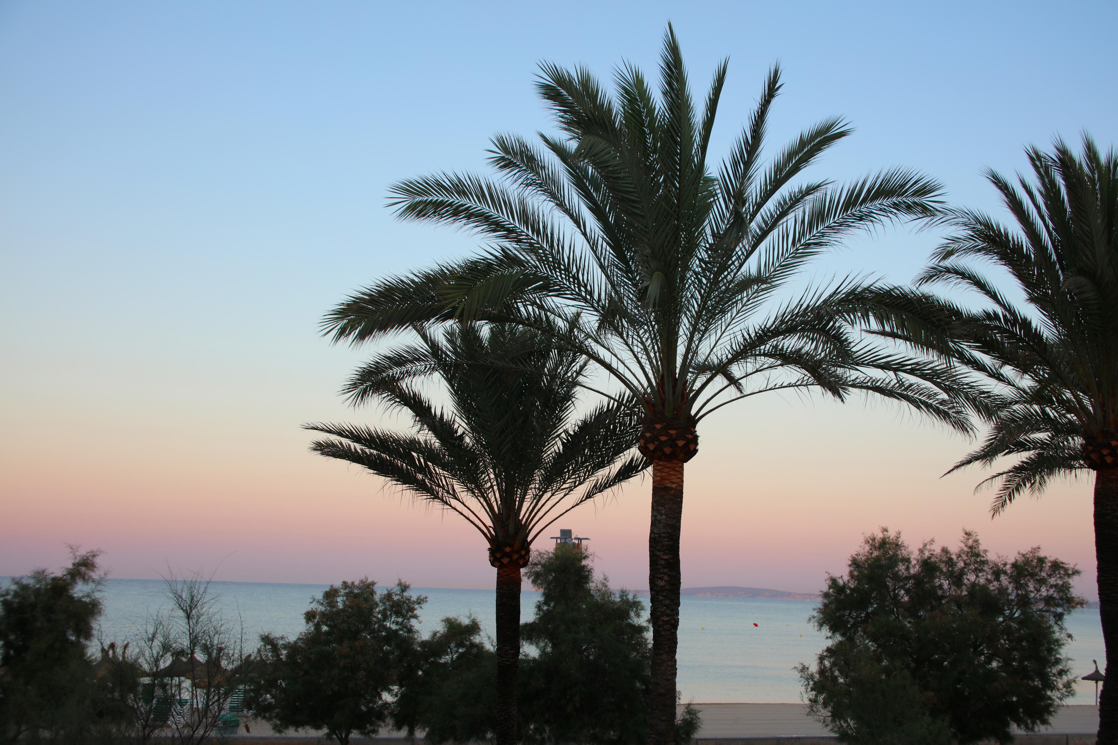 Hotel Iberostar Waves Bahia De Palma - Adults Only Playa de Palma (Mallorca)
