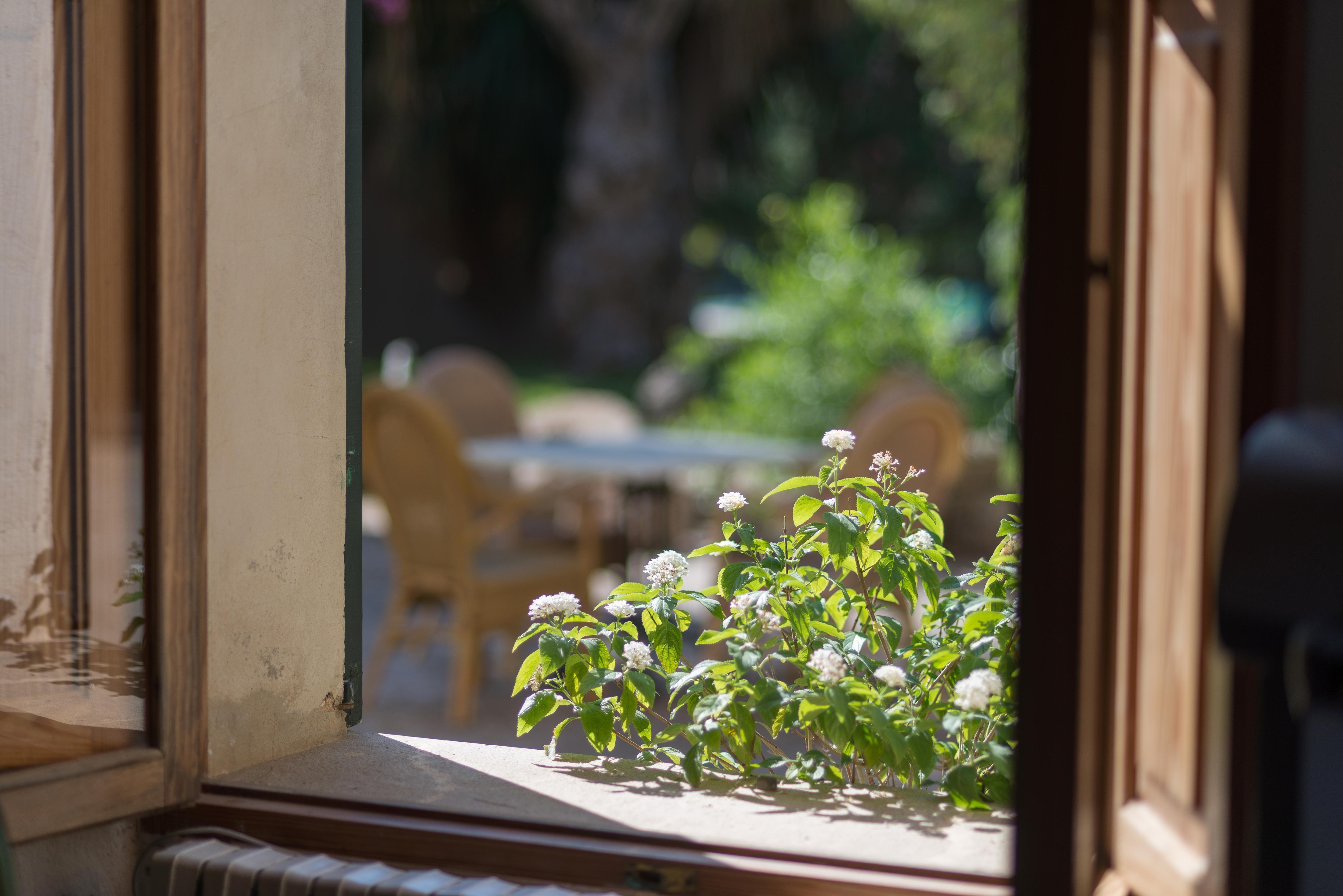 Country house Petit Rural Son Jorda *