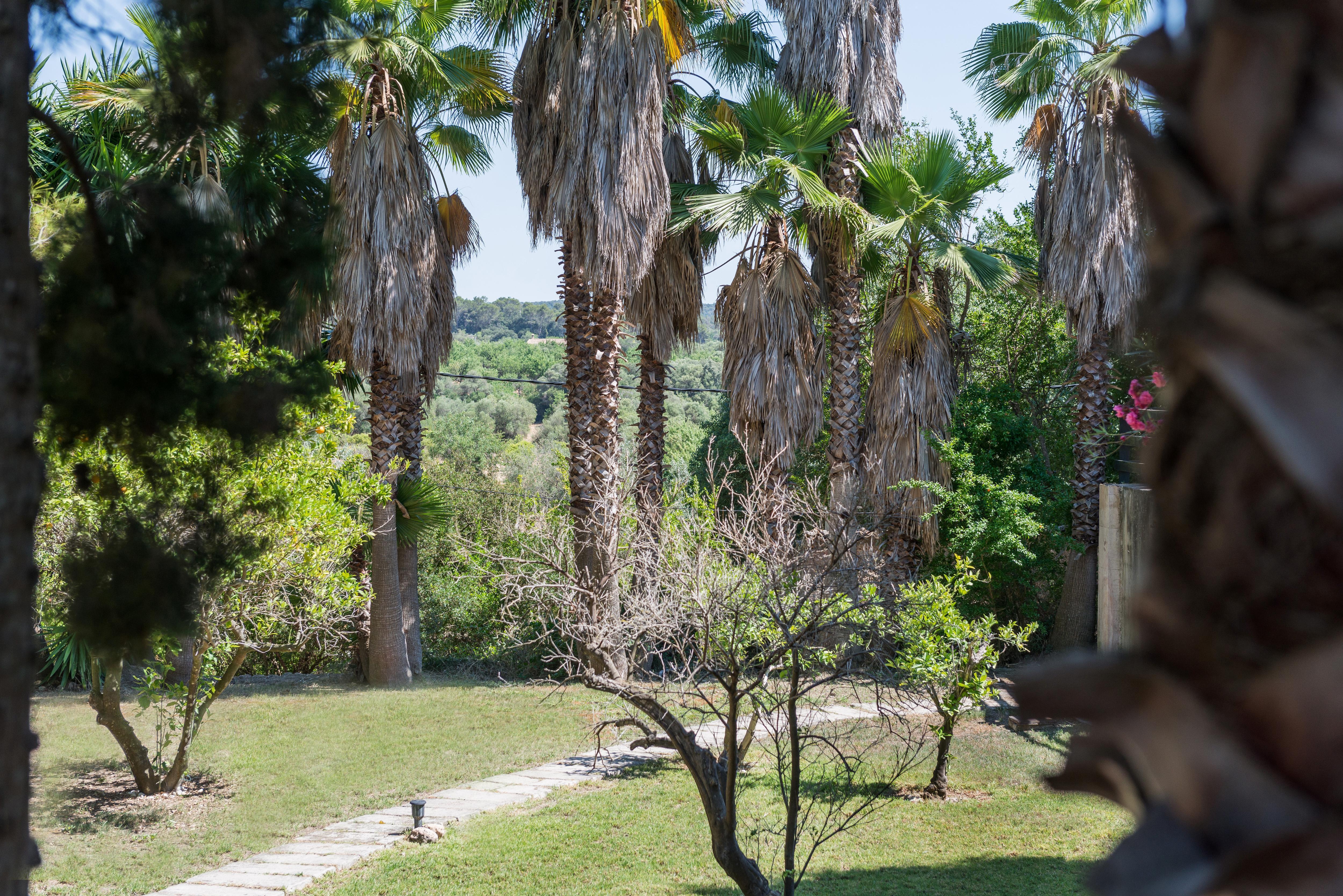 Country house Petit Rural Son Jorda