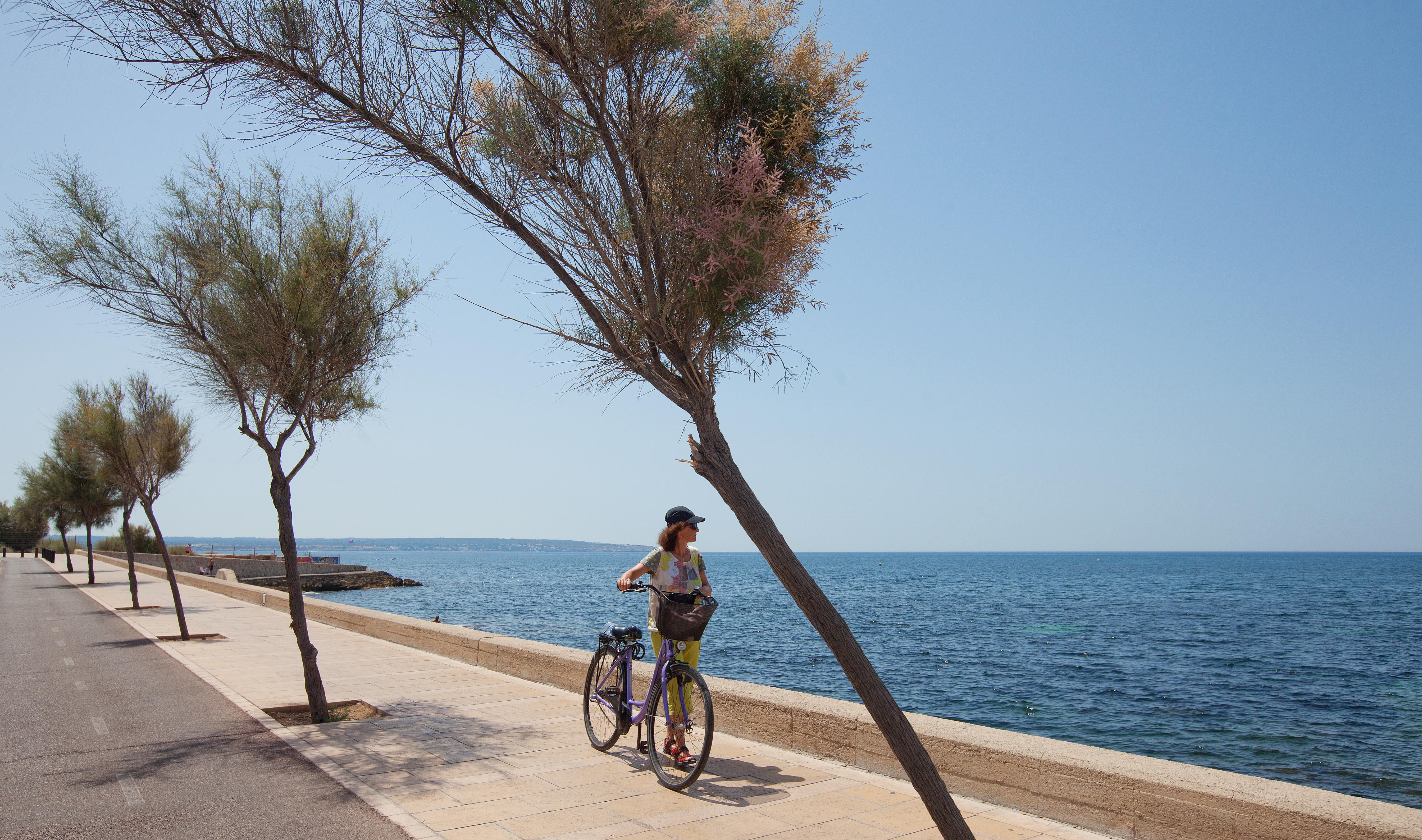 Hotel Js Palma - Adults Only