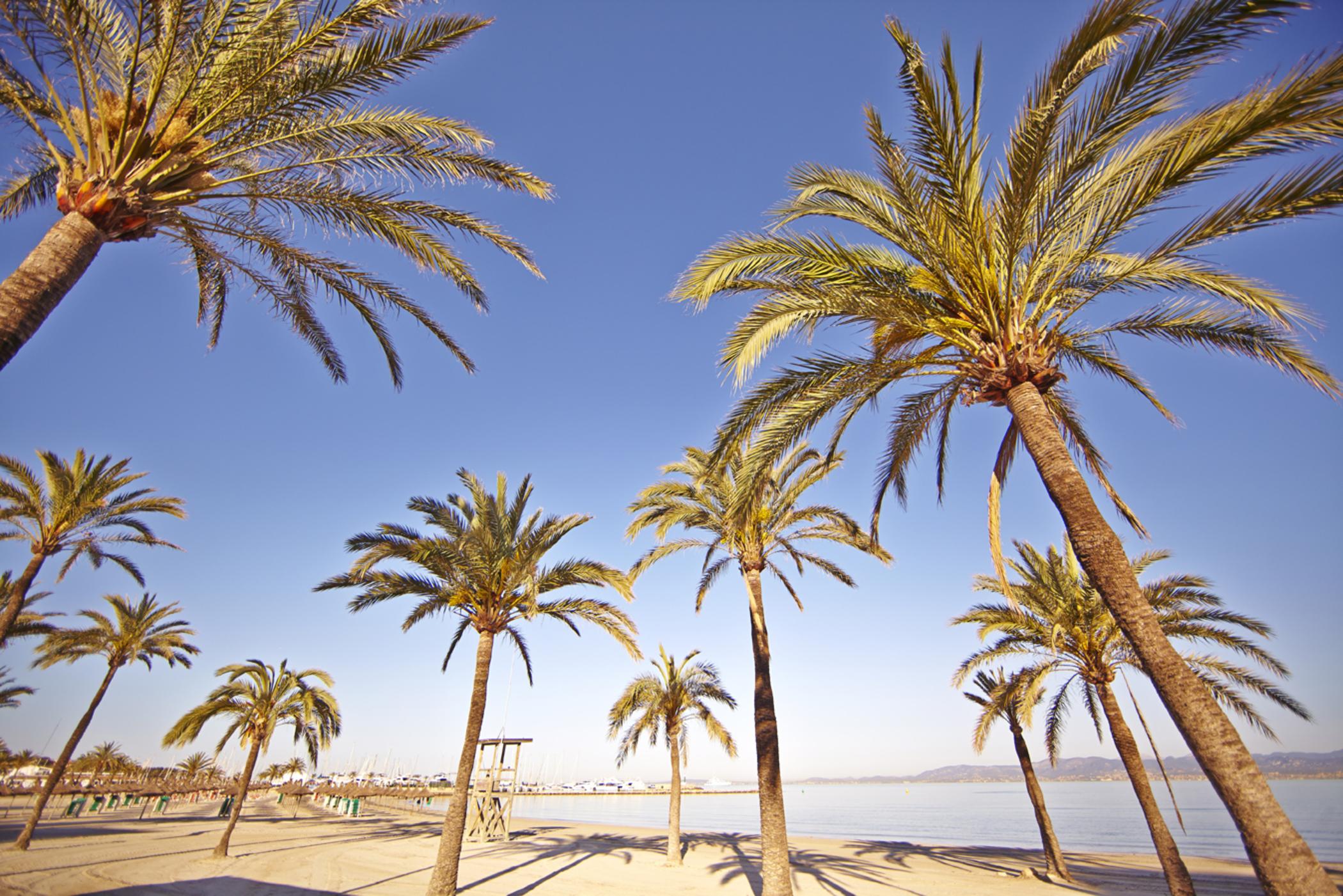 Mll Palma Bay Club 3* El Arenal (Mallorca)