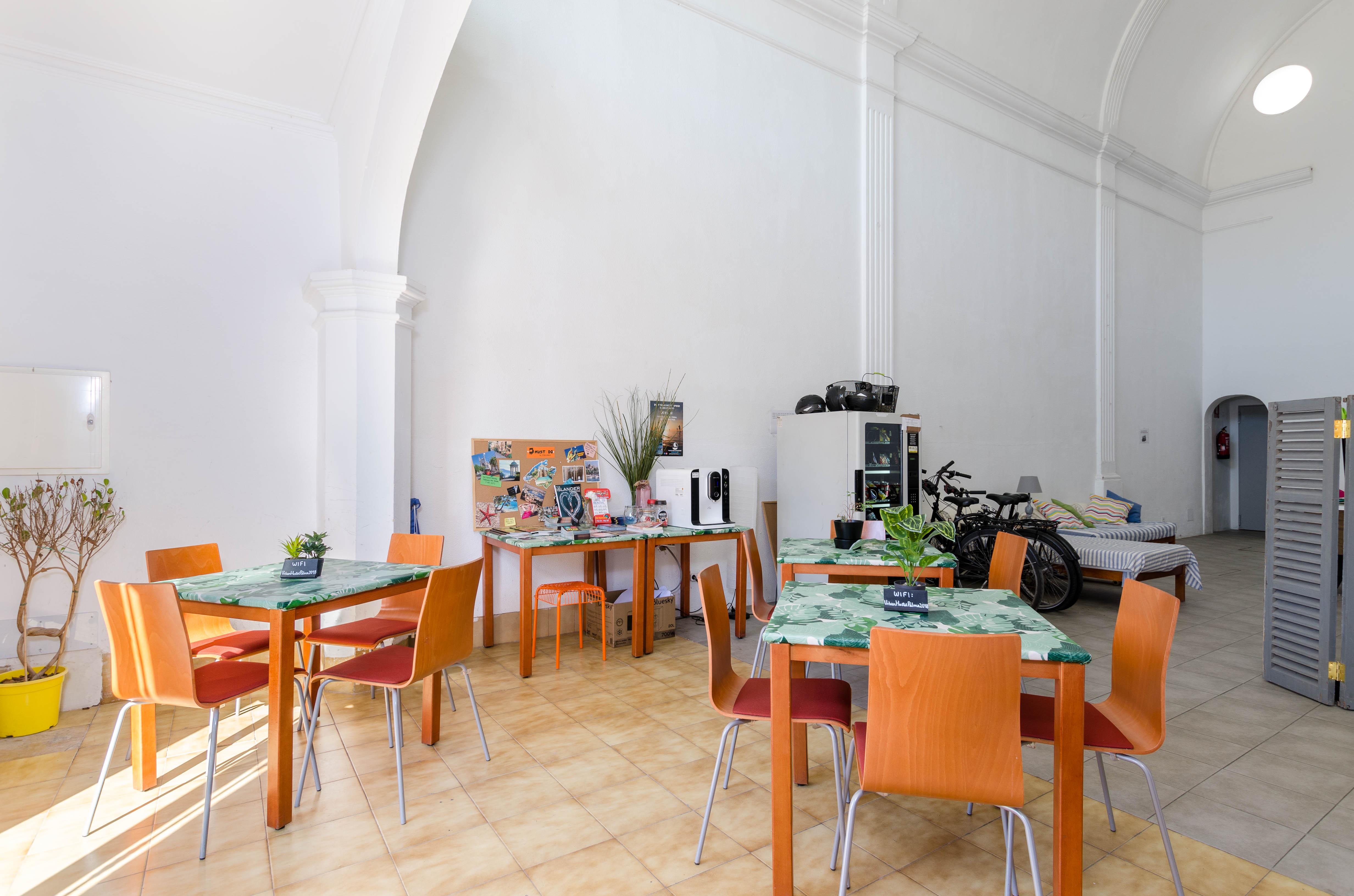 Urban Palma - Juvenil - Youth Hostal