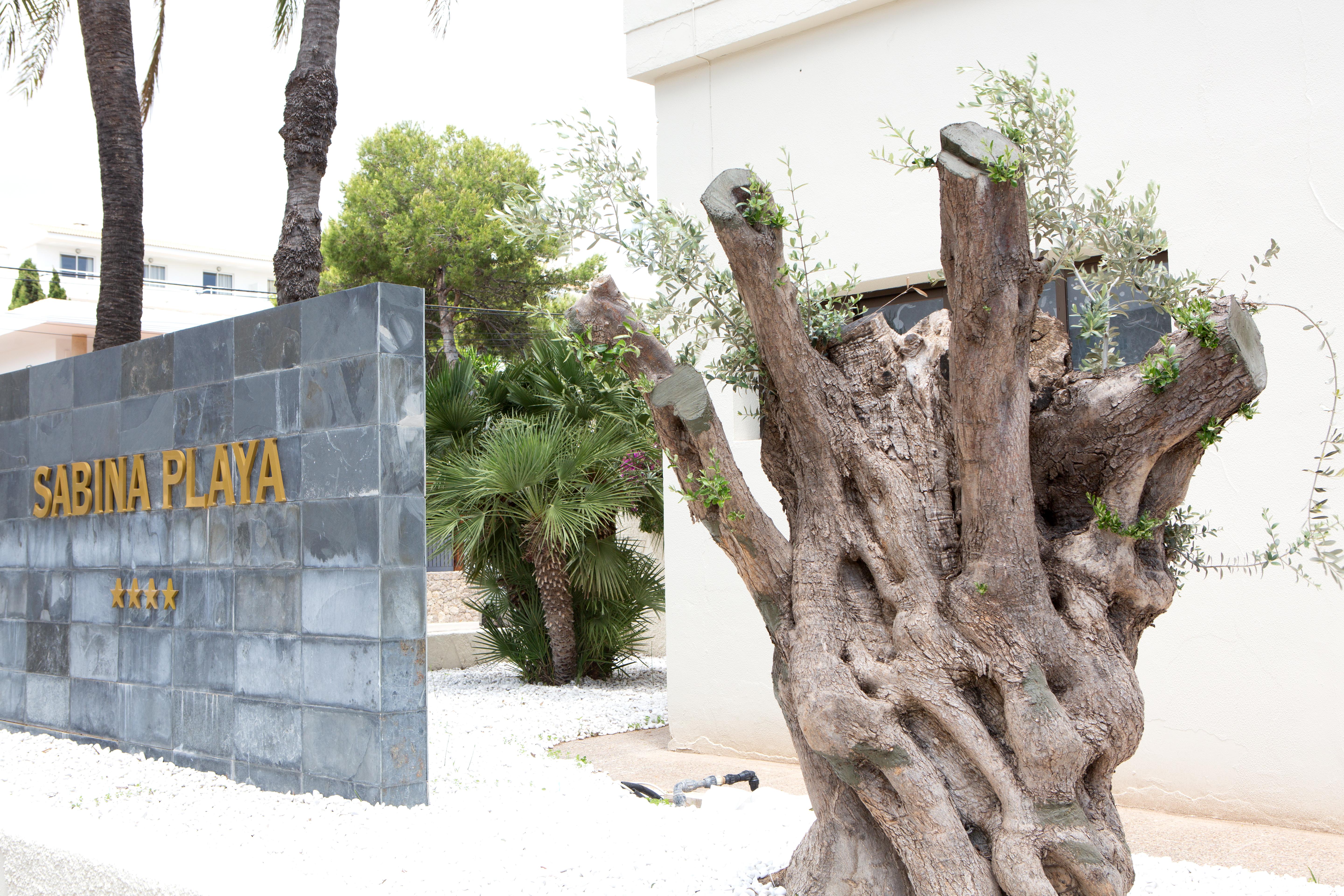 Sabina Playa (adults Only) 4*
