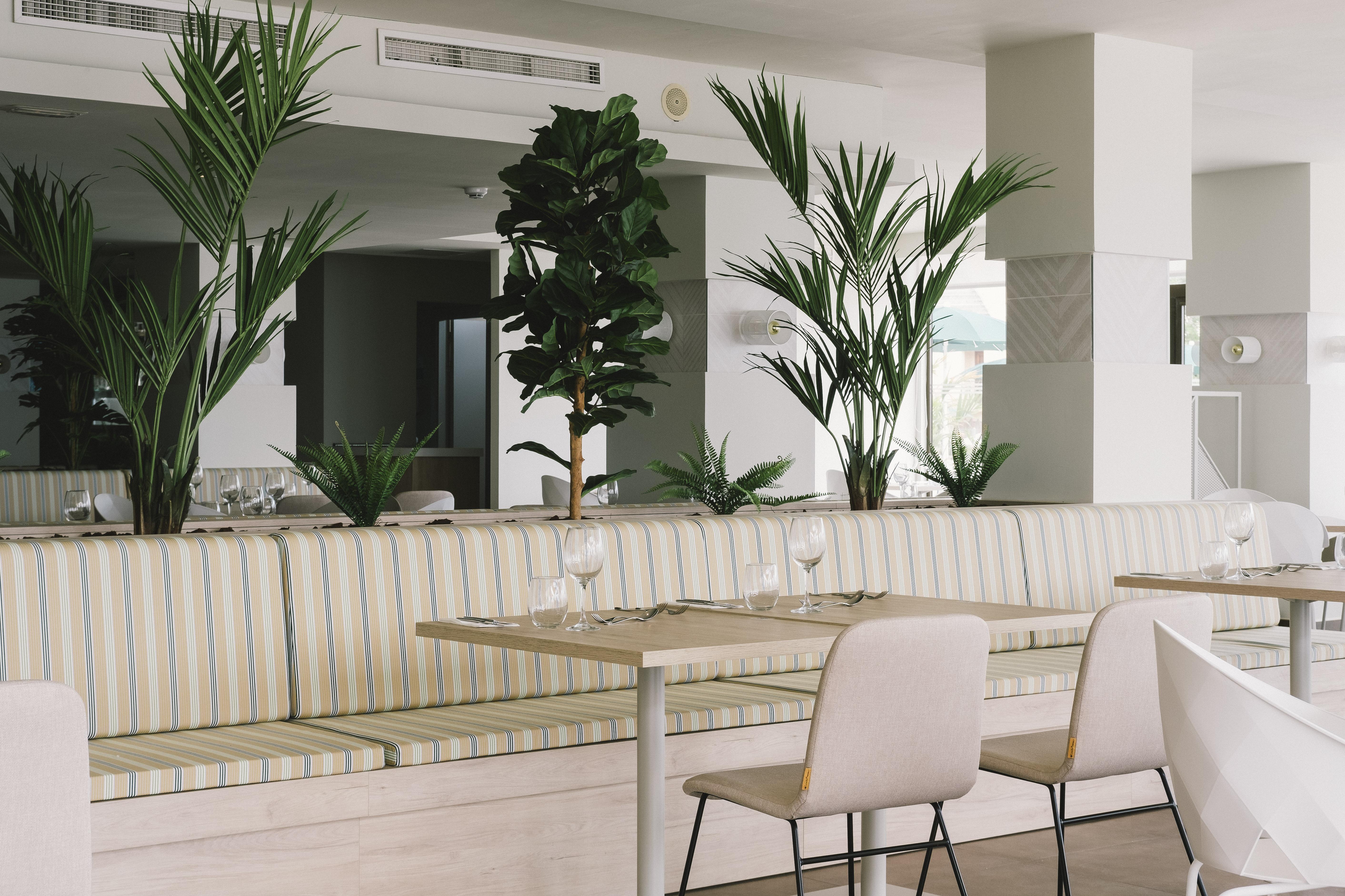 Aluasoul Palma Adults Only Hotel 4*