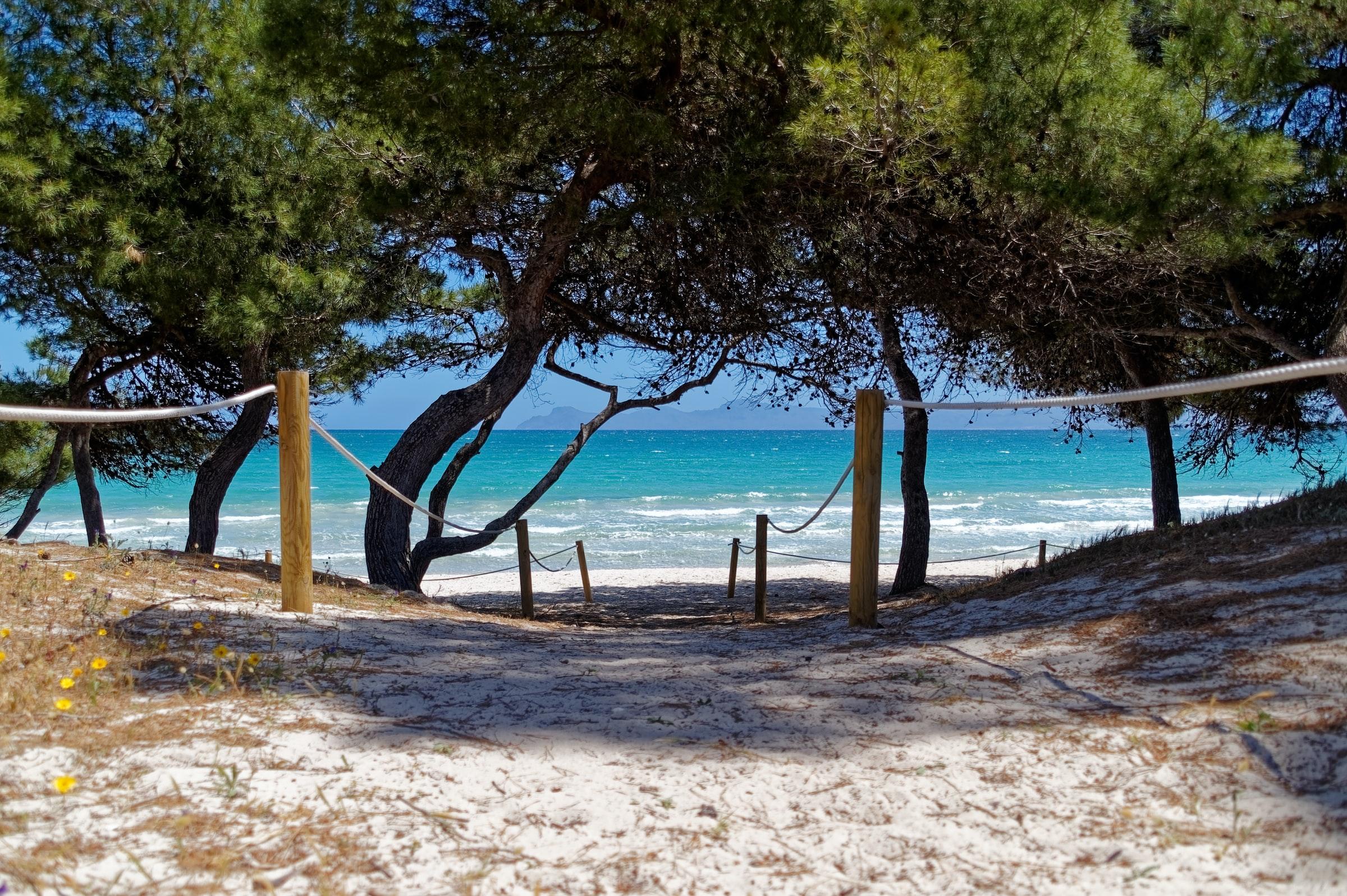 Carlos V * Alcúdia