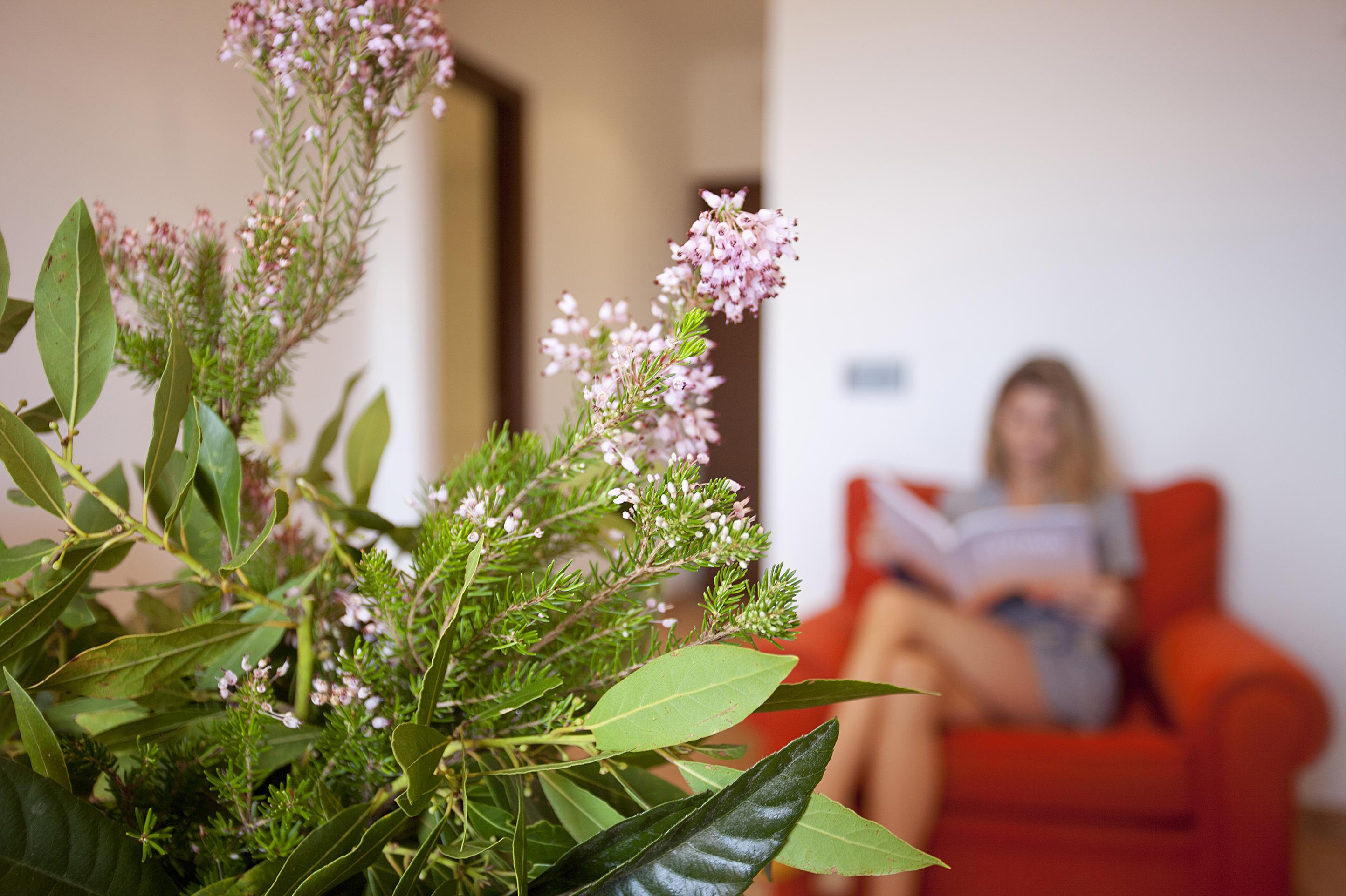 Hotel Maristel & - Adults Only Estellencs (Mallorca)