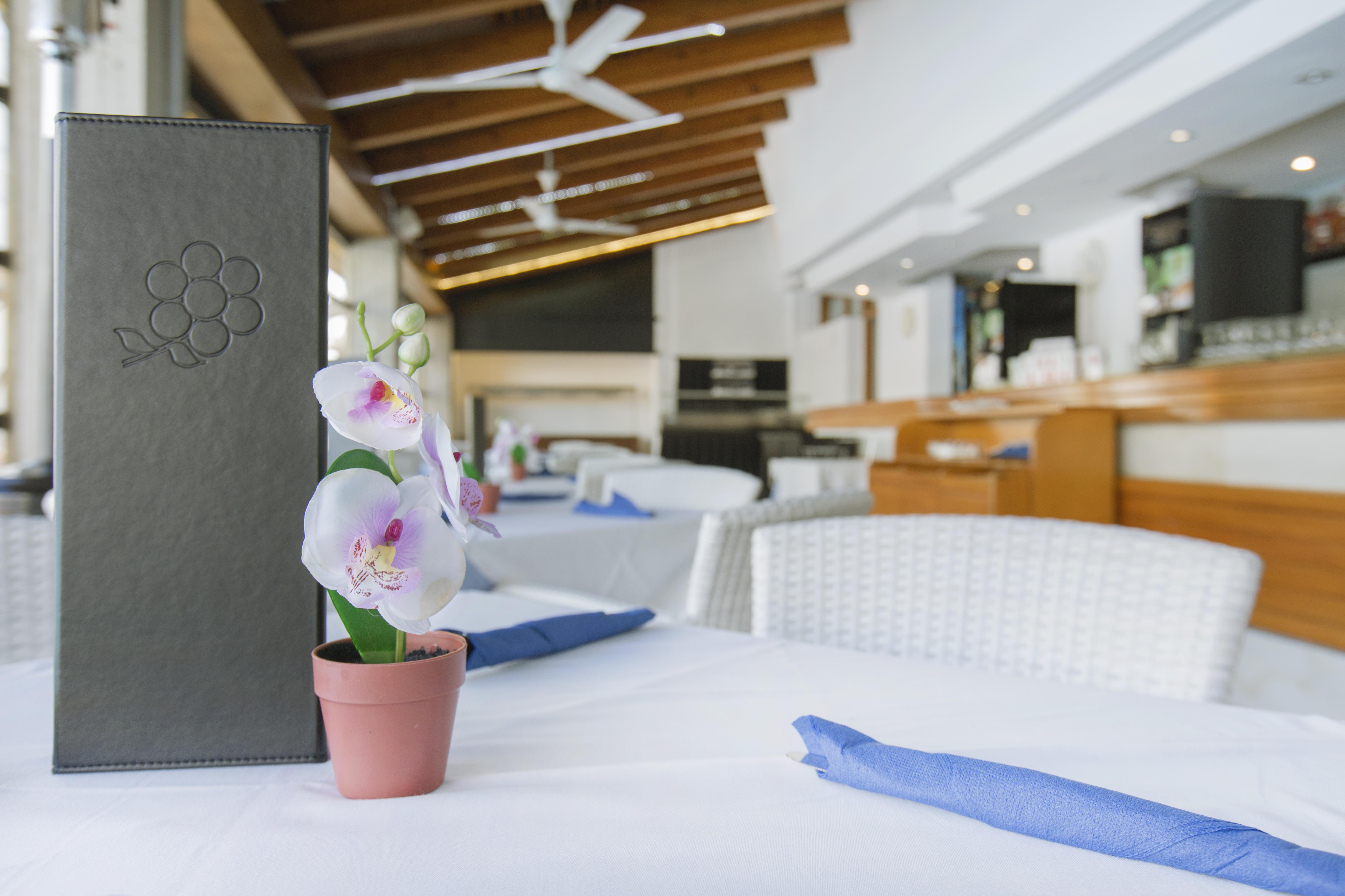 Flora Apartahotel Puerto Pollensa