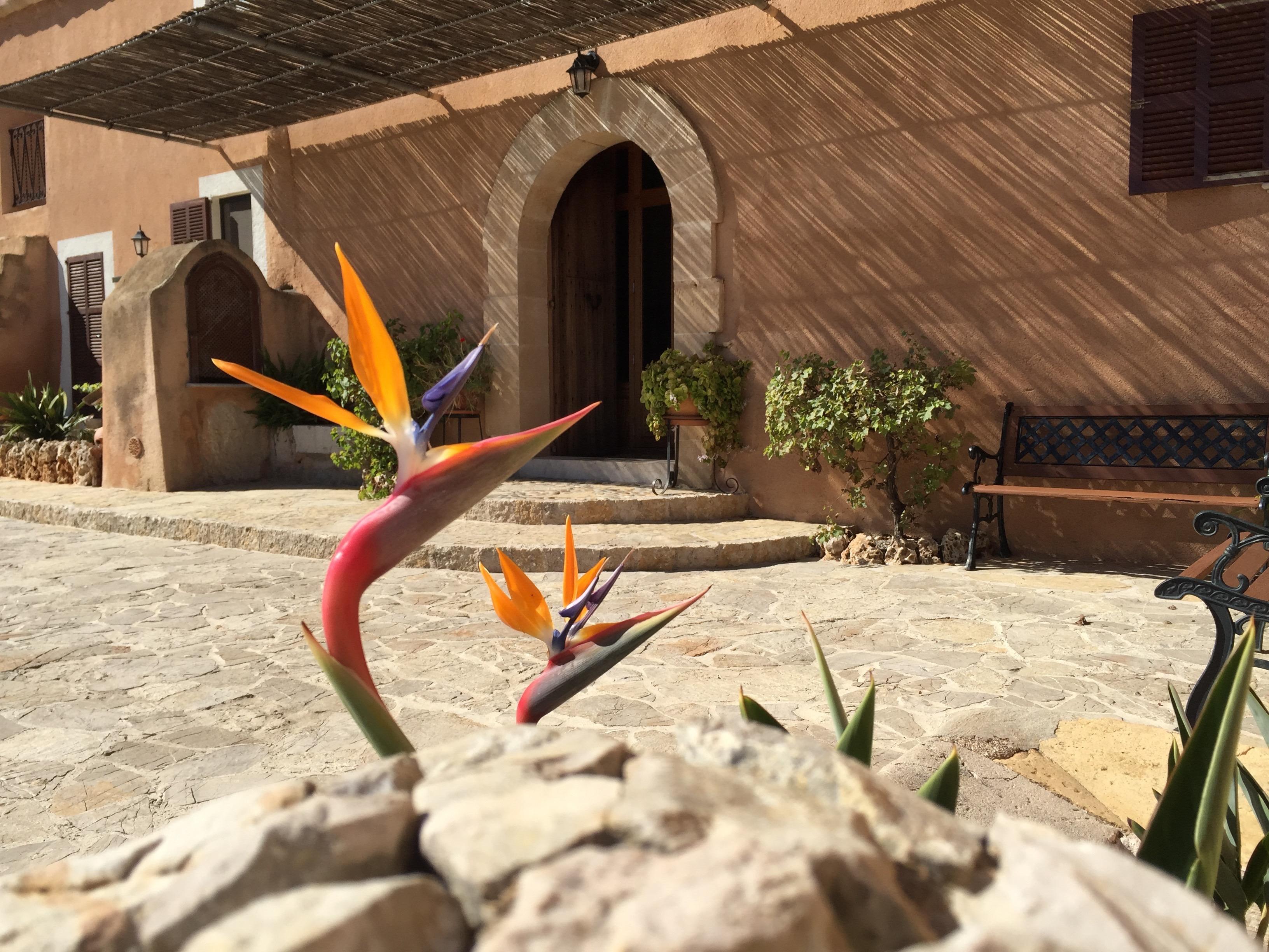 Farm stay Es Picot Son Macia (Mallorca)