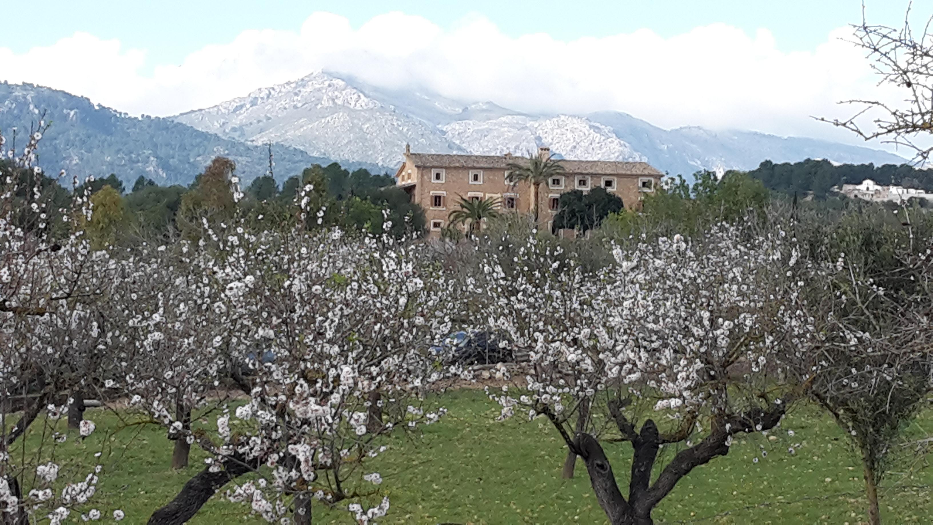 Hotel Estades 4*
