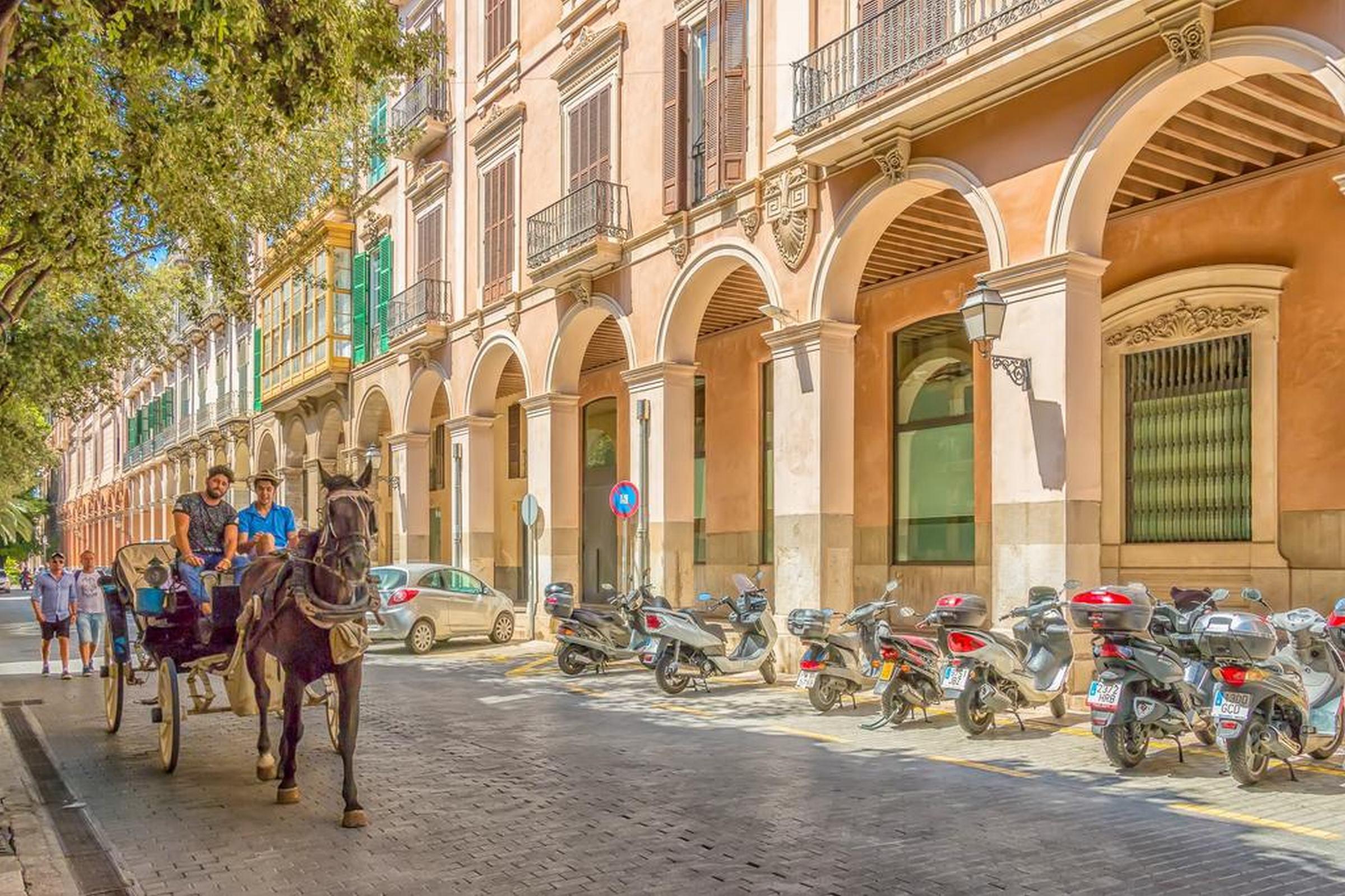 Icon Rosetó Palma de Mallorca