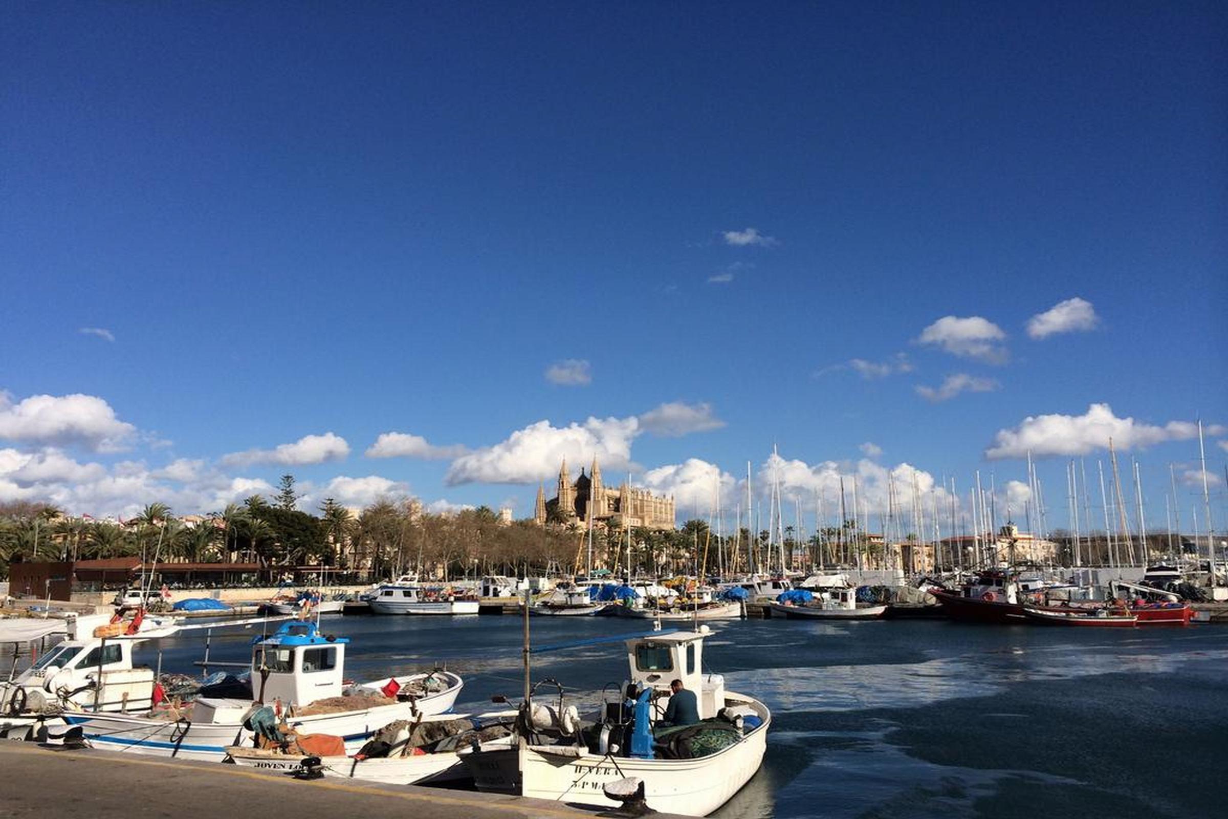 Icon Rosetó Palma de Mallorca