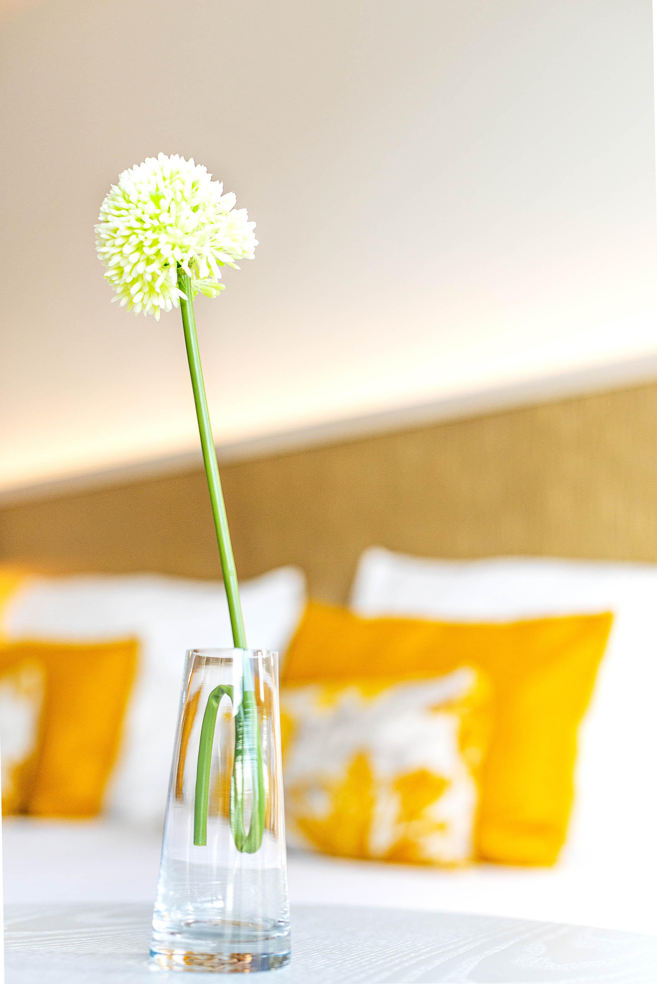 Hotel The Place - Adults Only Cala Ratjada (Mallorca)