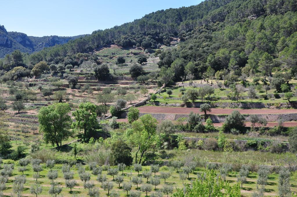 Sa Capsana * Valldemossa (Mallorca)