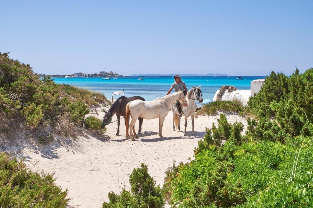 Mallorca Dream