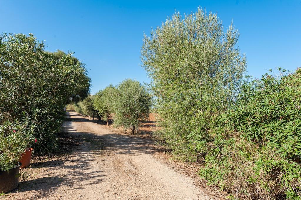 Son Xorc Villa Campos (Mallorca)
